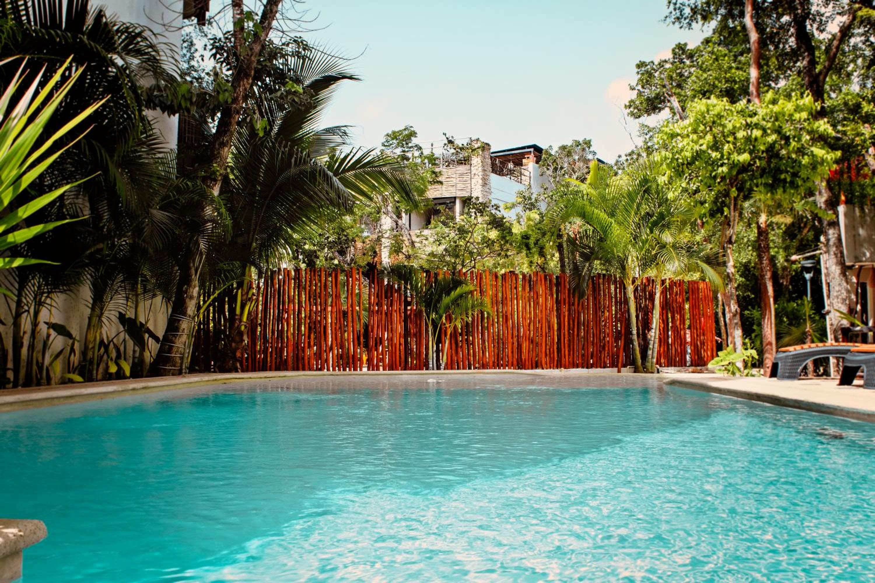Niik Tulum — 7