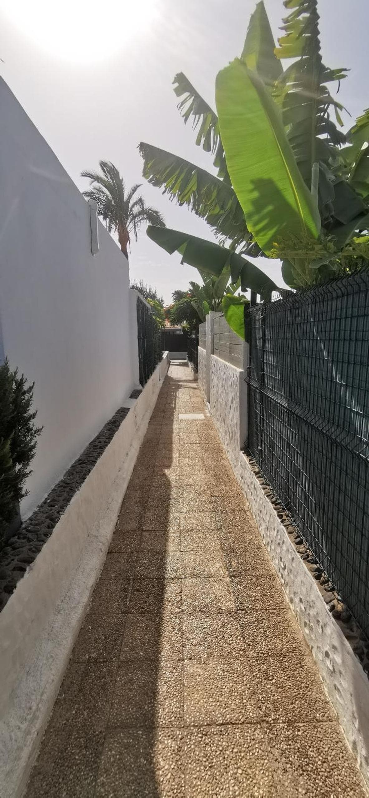 Casa Maga — 2