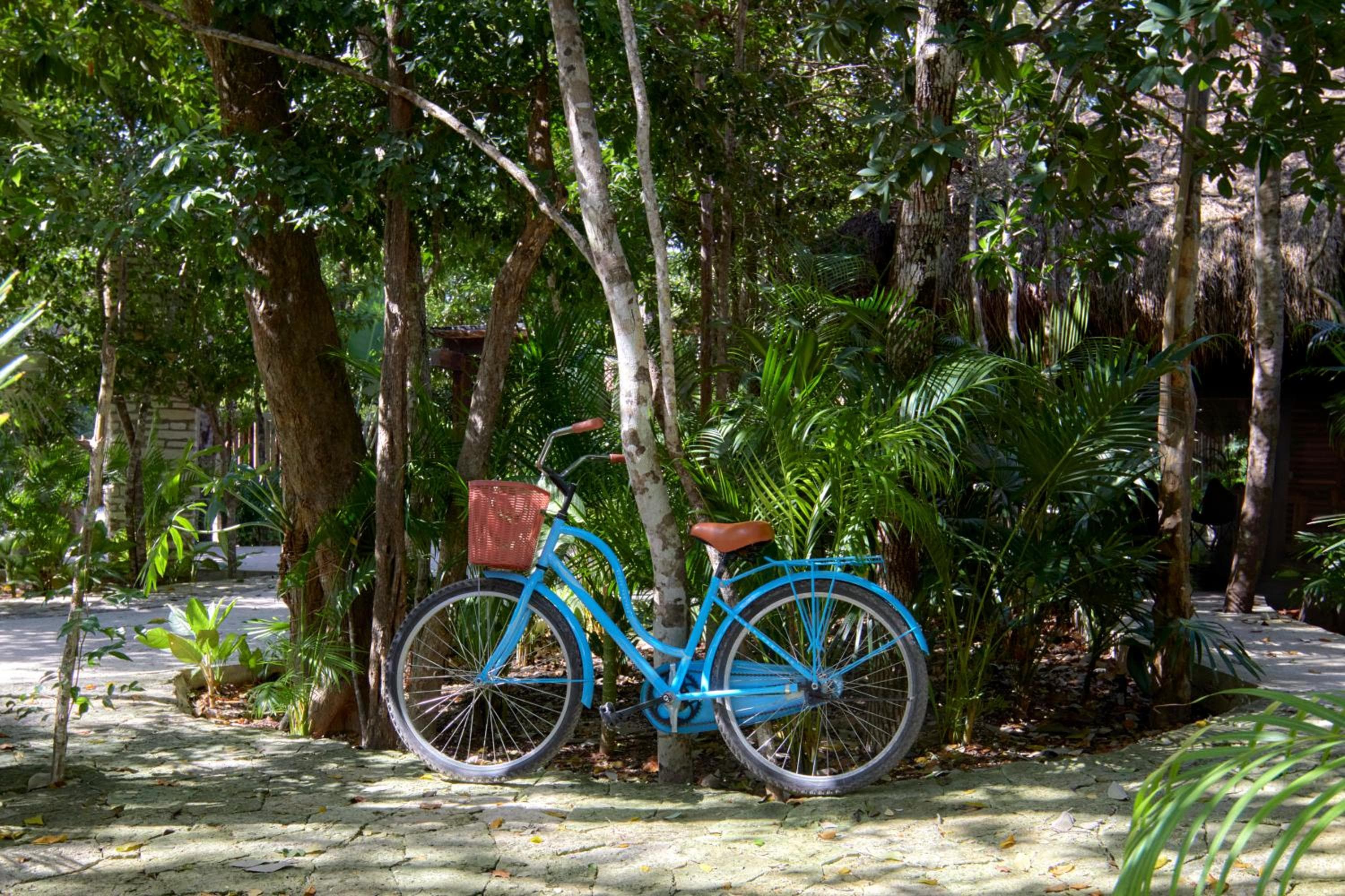 Aluna Resort Tulum — 24