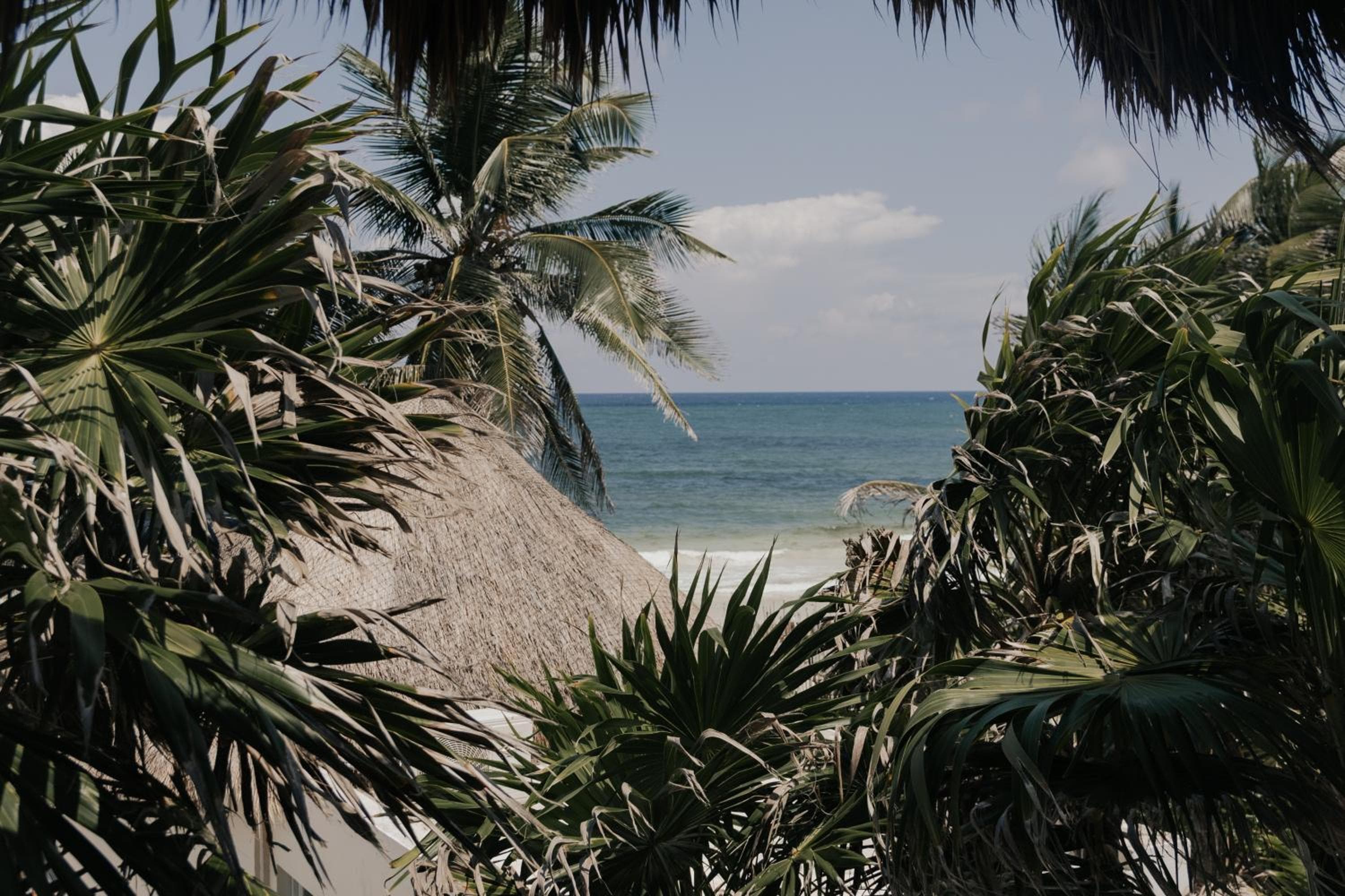 Tuup fronte oceano — 4