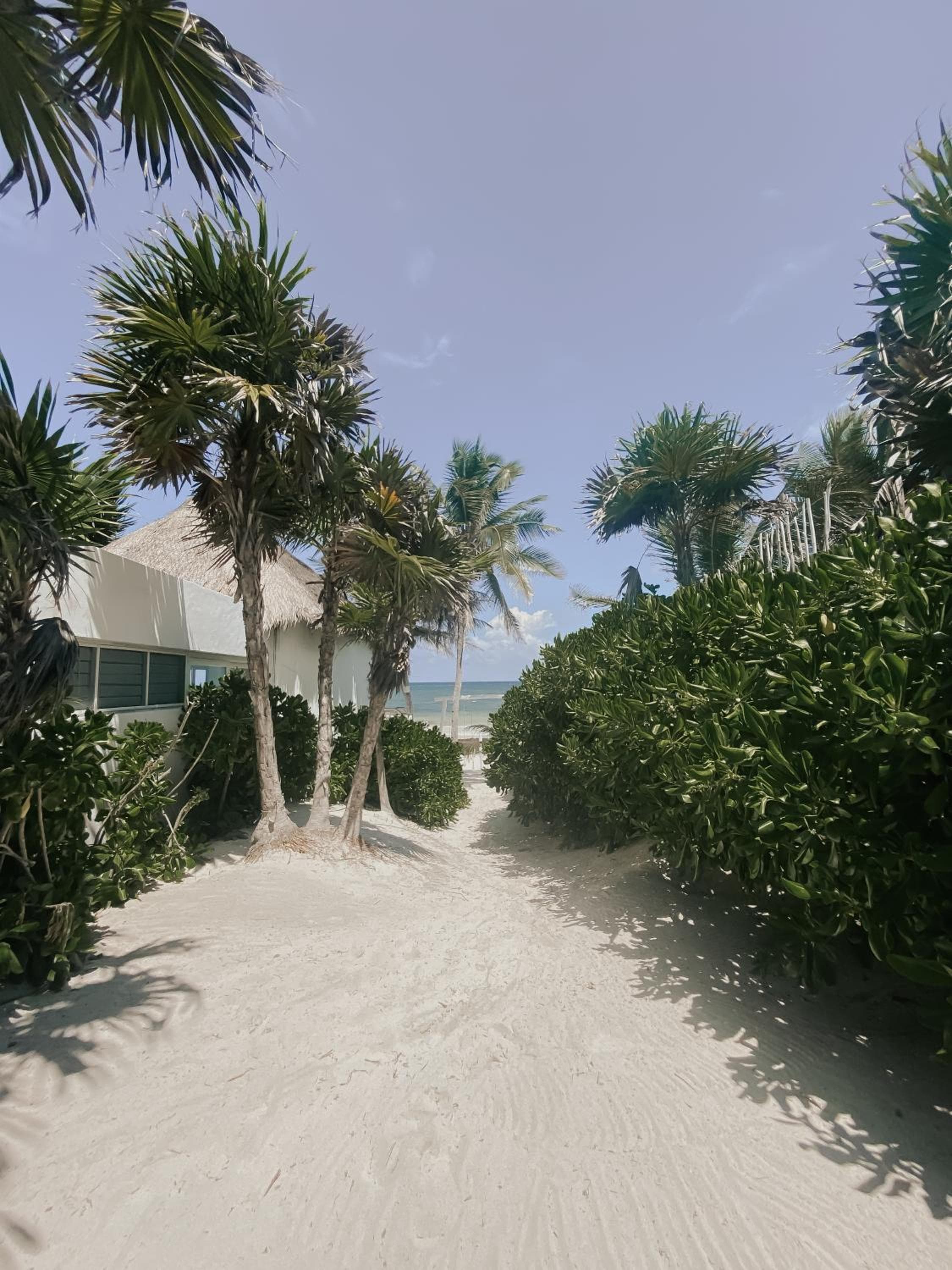 Tuup fronte oceano — 5