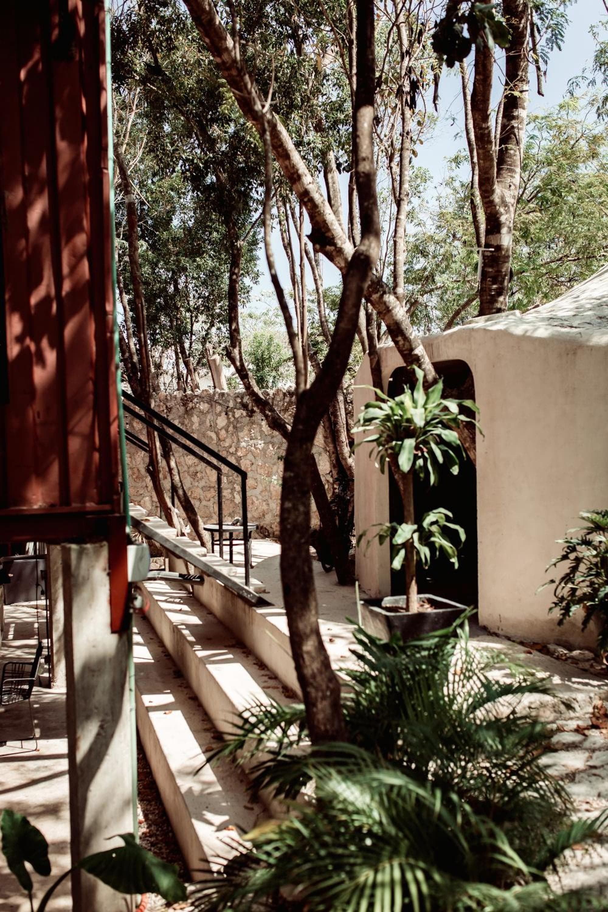 Botánica Tulum — 9