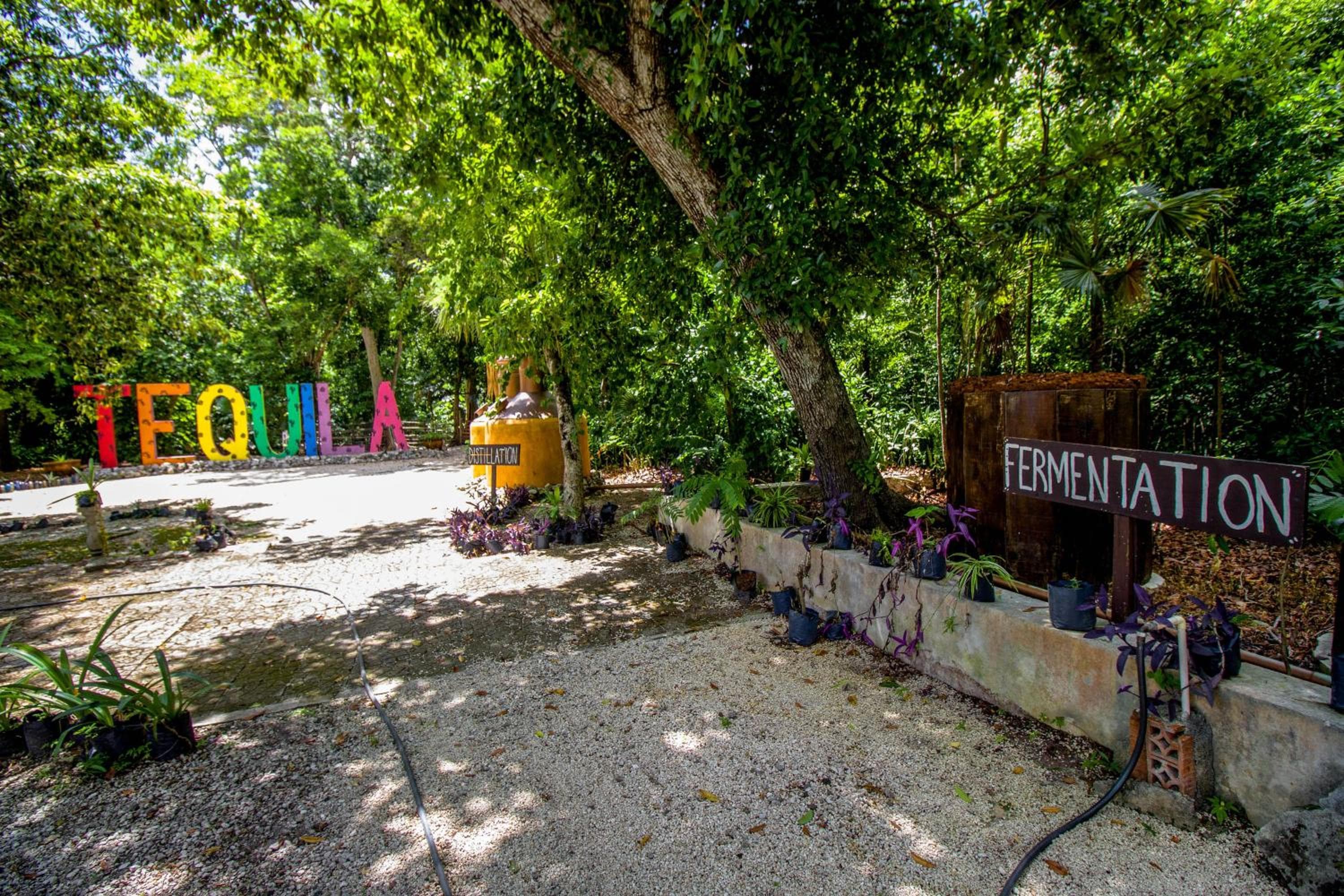 Hotel Tequila Cancun — 3