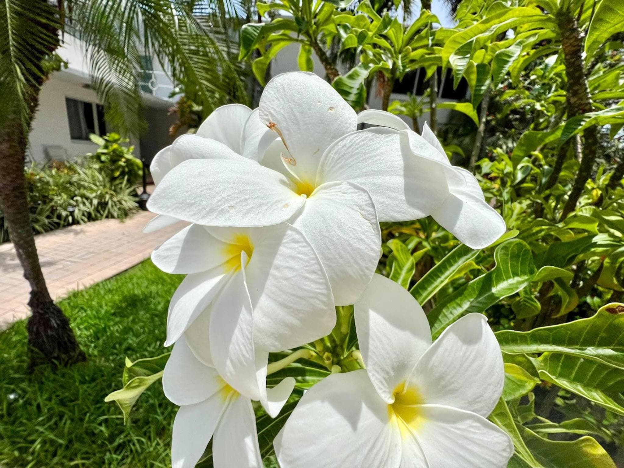 Hotel Playa Norte — 26
