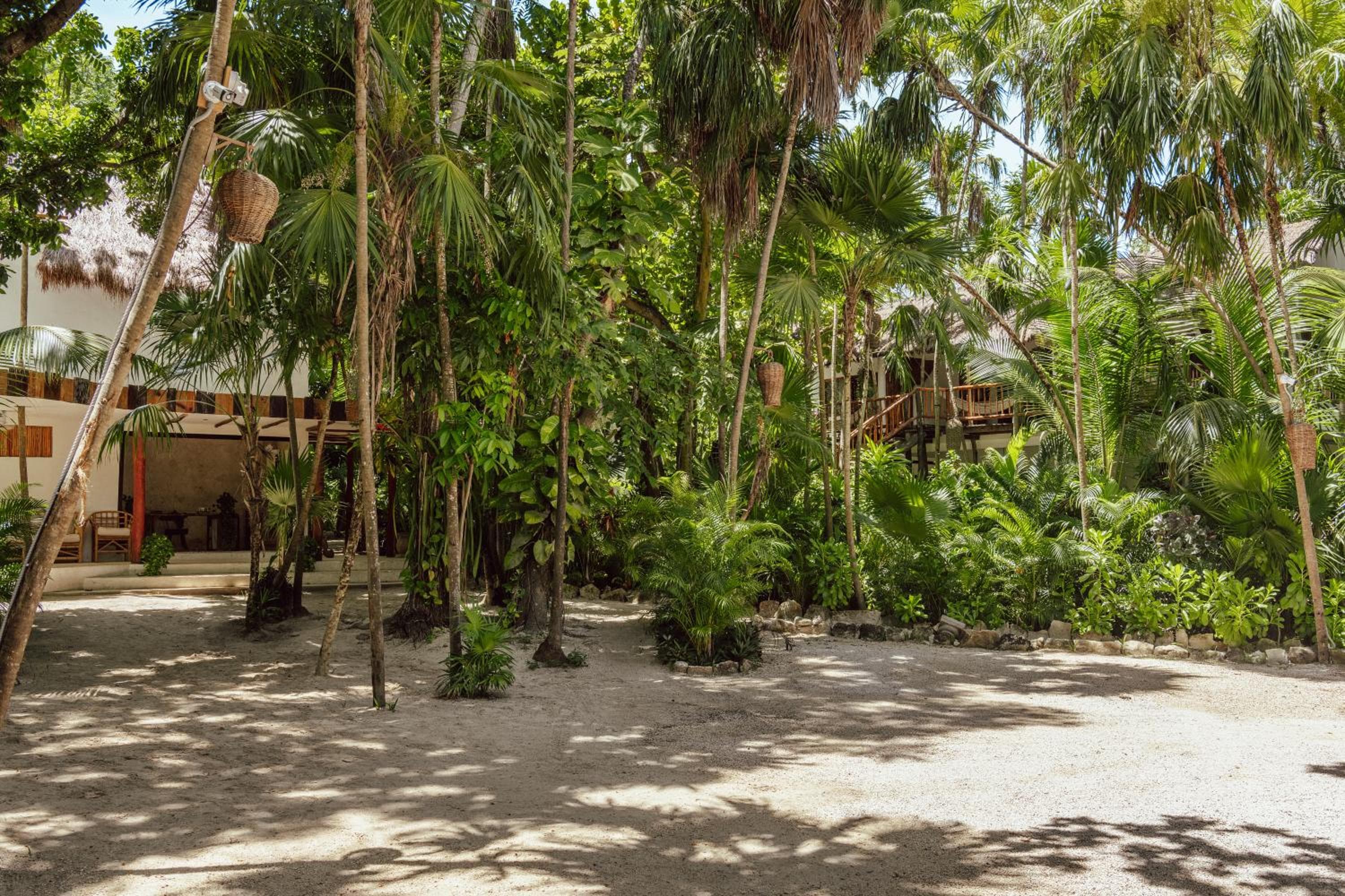 Dos Ceibas Tulum Sentirsi bene Hotel — 5