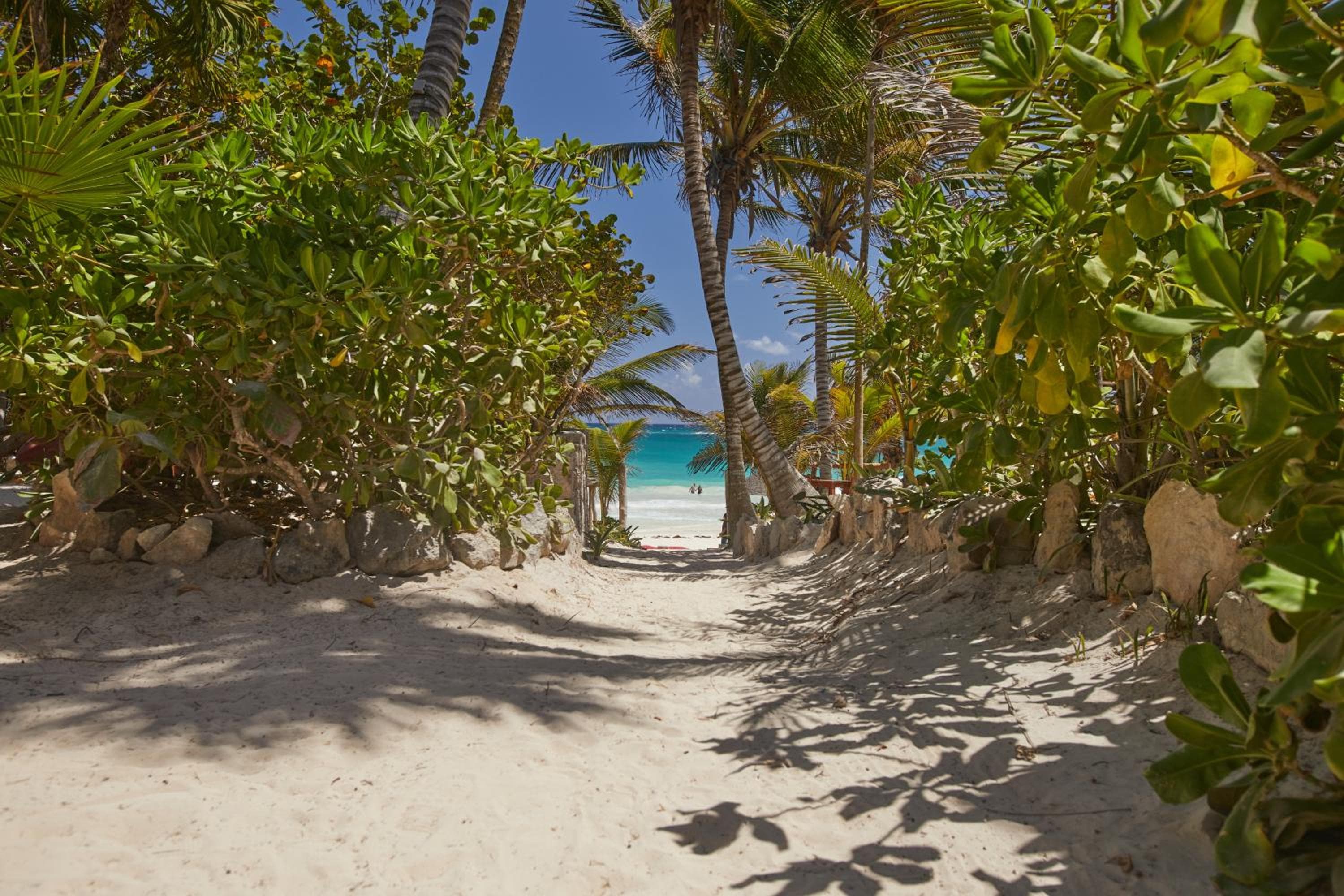 Dos Ceibas Tulum - Feel Good Hotel — 11