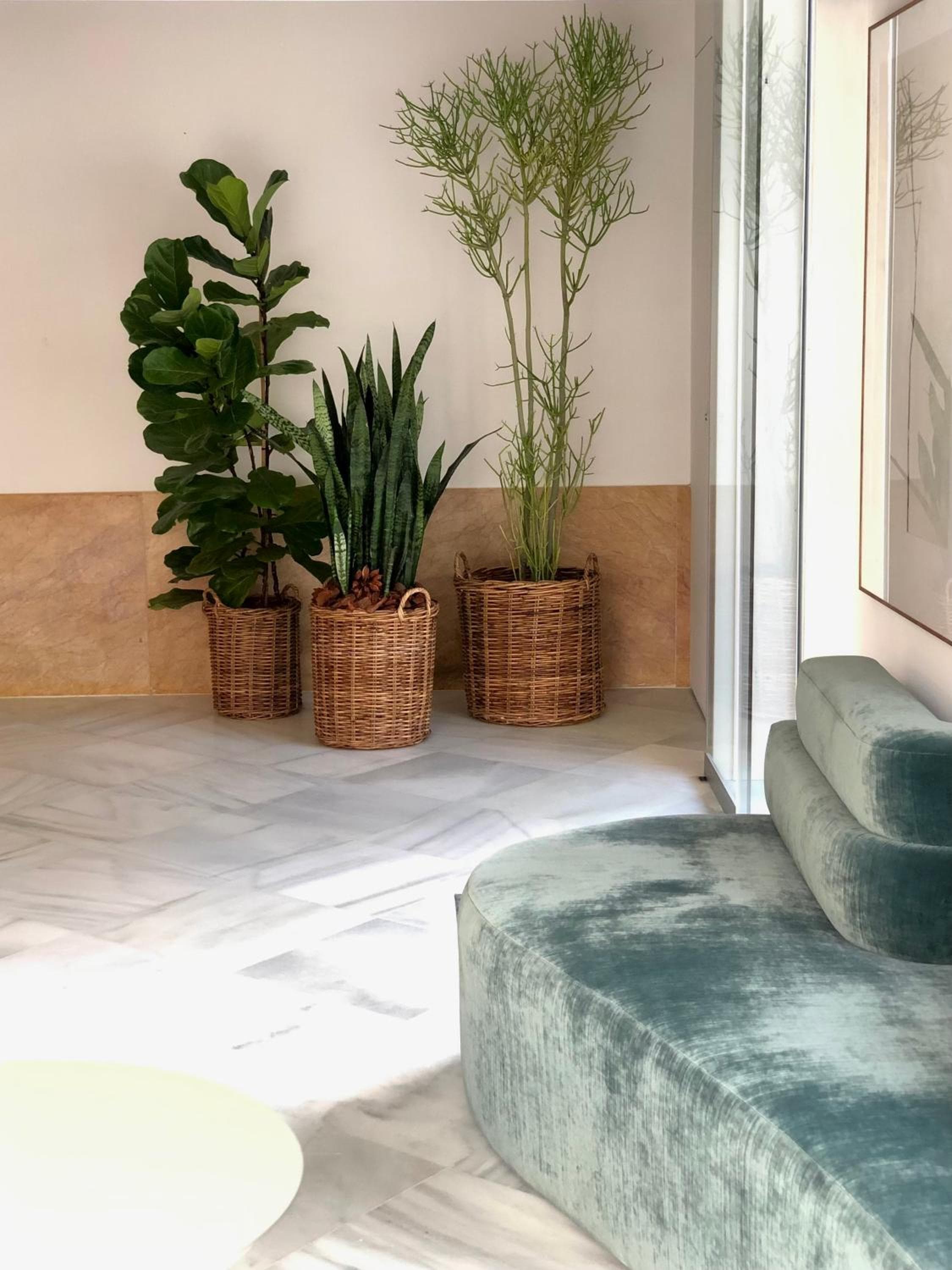 Hotel Tayko Sevilla — 9