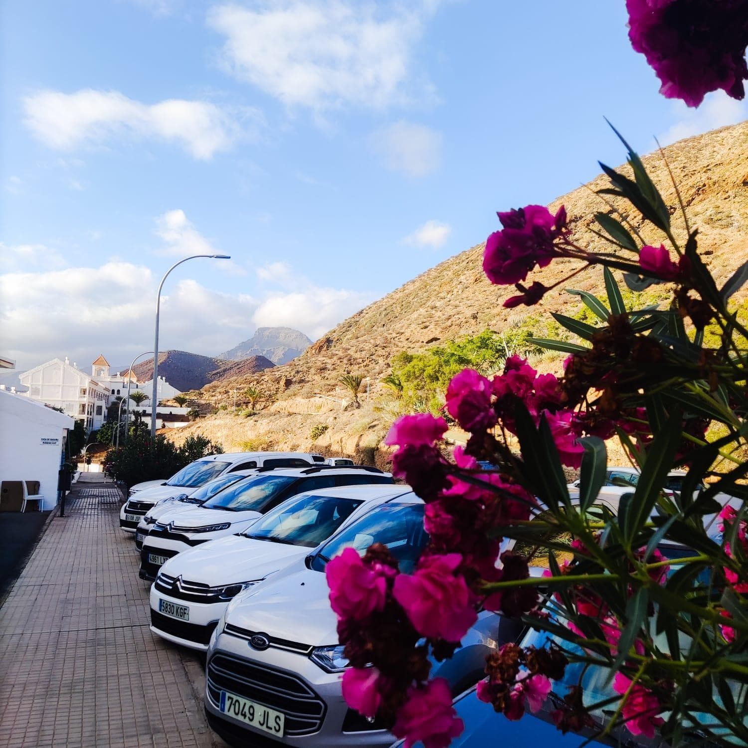 91 Port Royale Los Cristianos — 3