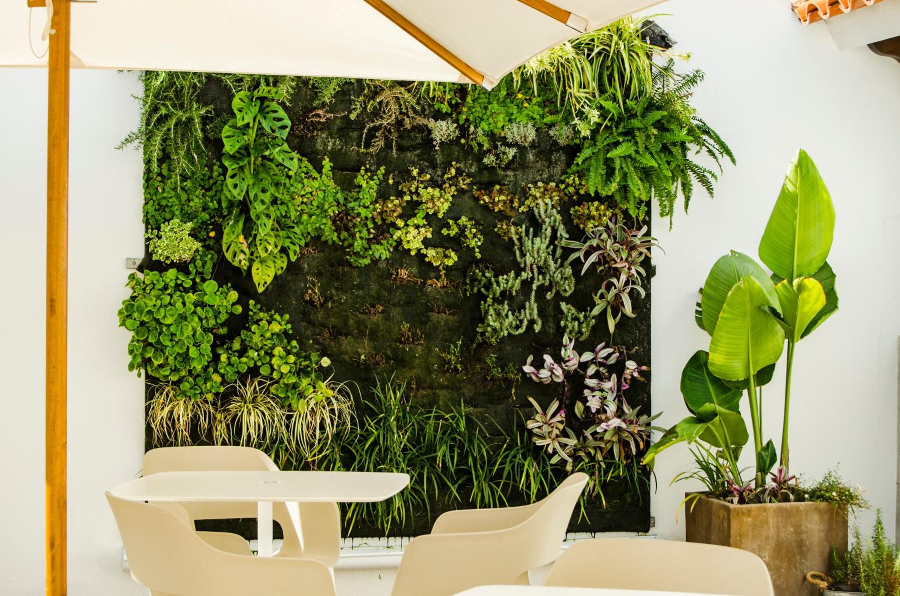 Hotel Anfora Ibiza — 3