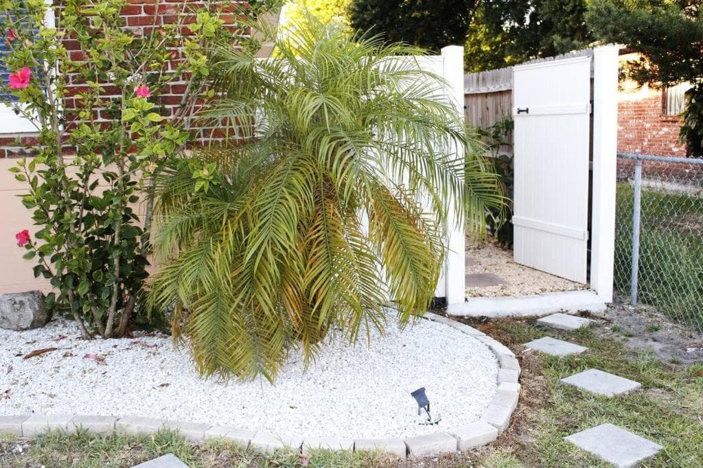 Torres Tiny Home Midtown West Tampa RJS — 11