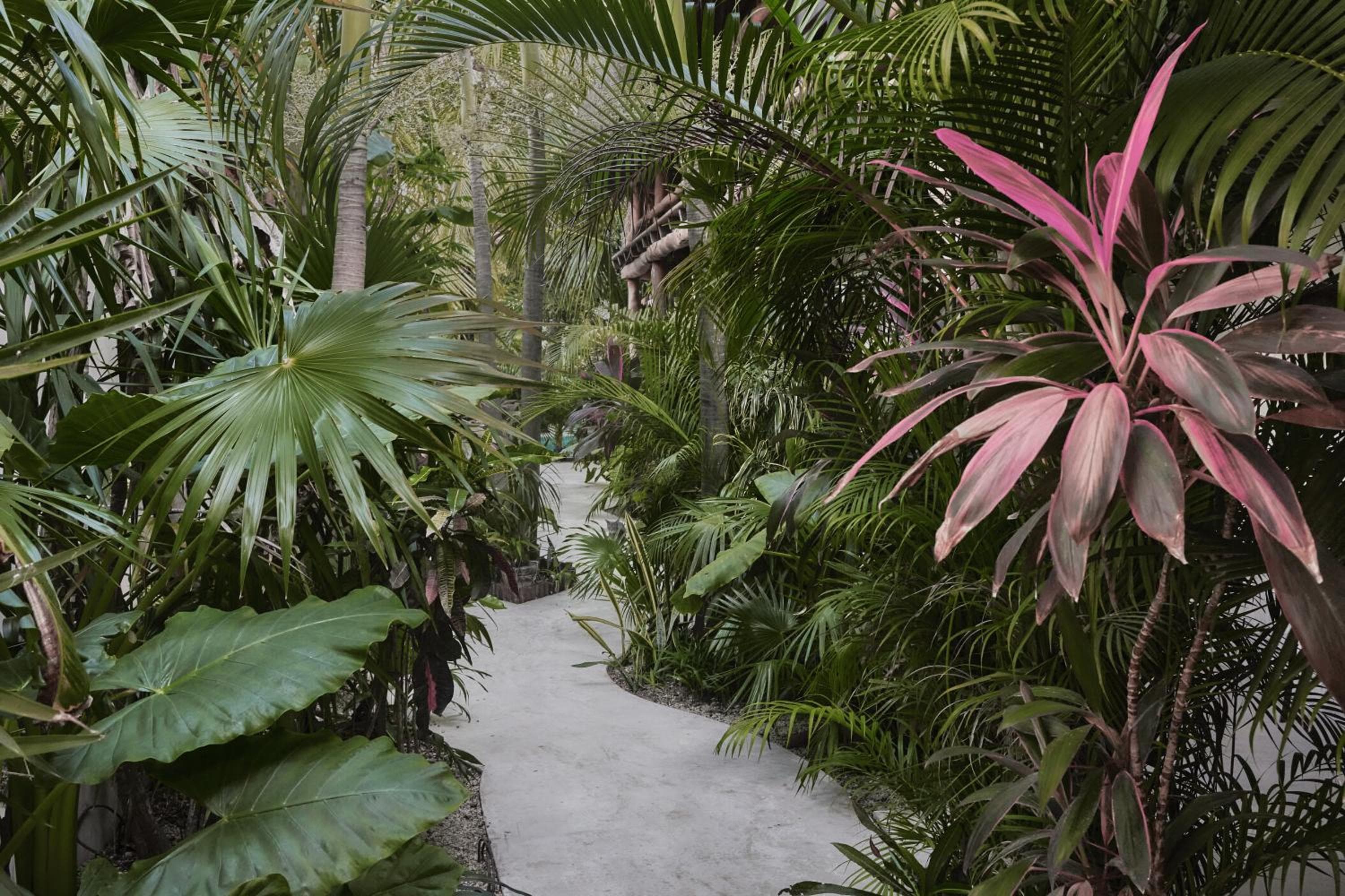Hotel Boutique TerraNova — 12