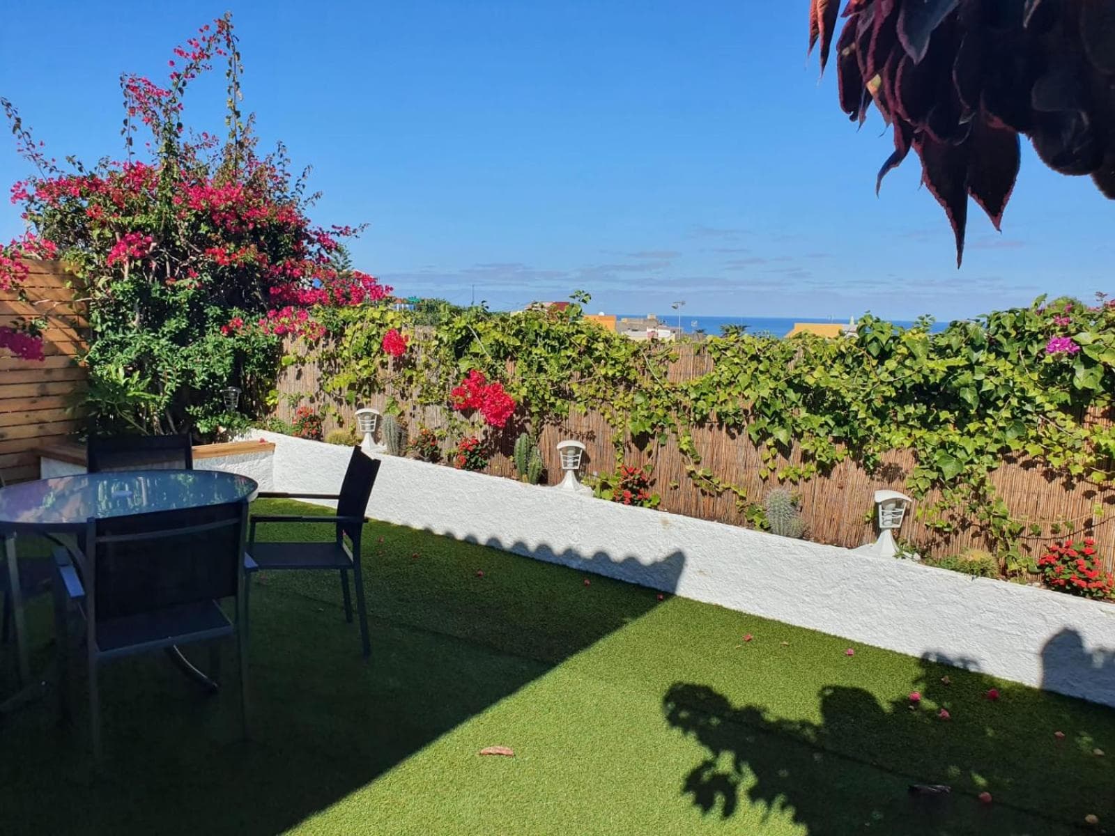 Cozy and intimate bungalow in Puerto de la Cruz — 1