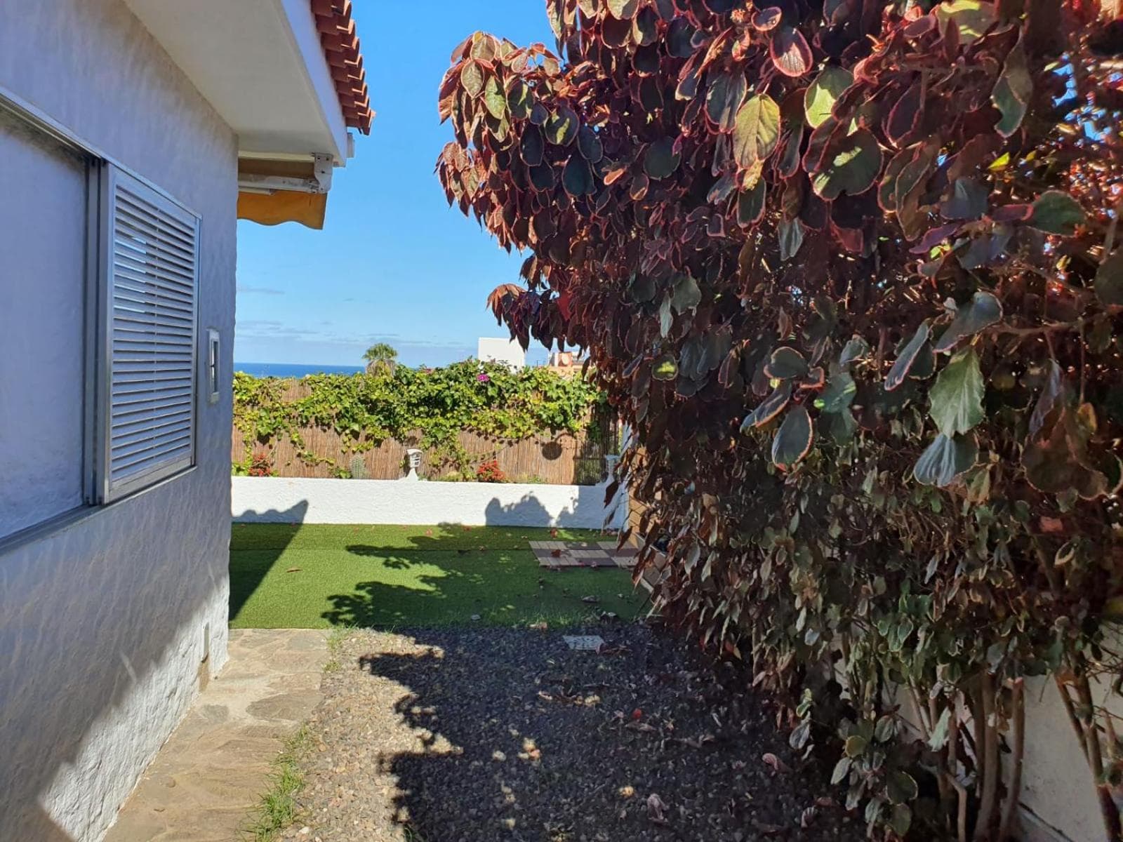 Cozy and intimate bungalow in Puerto de la Cruz — 3