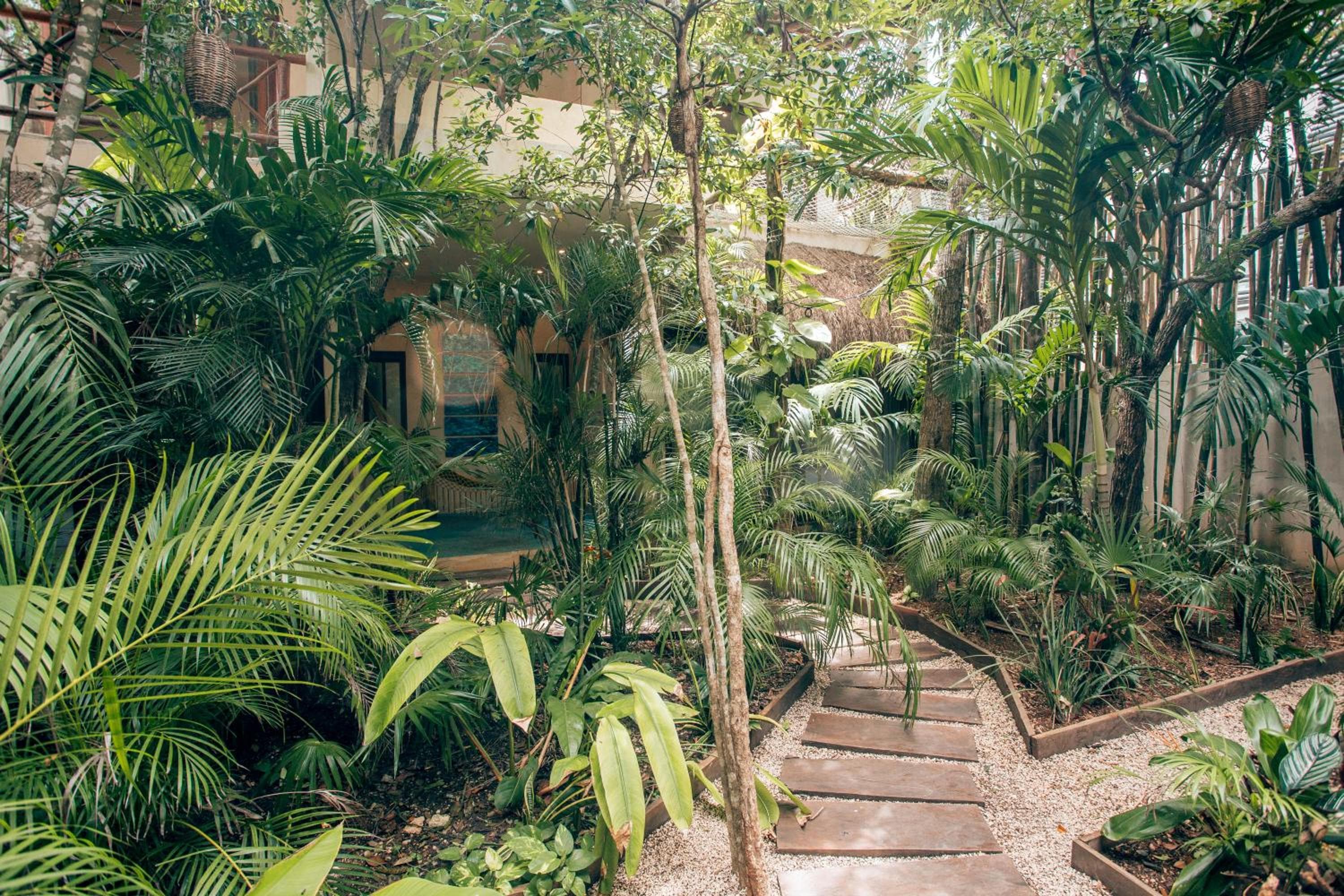 Orchid House Tulum Jungle — 19