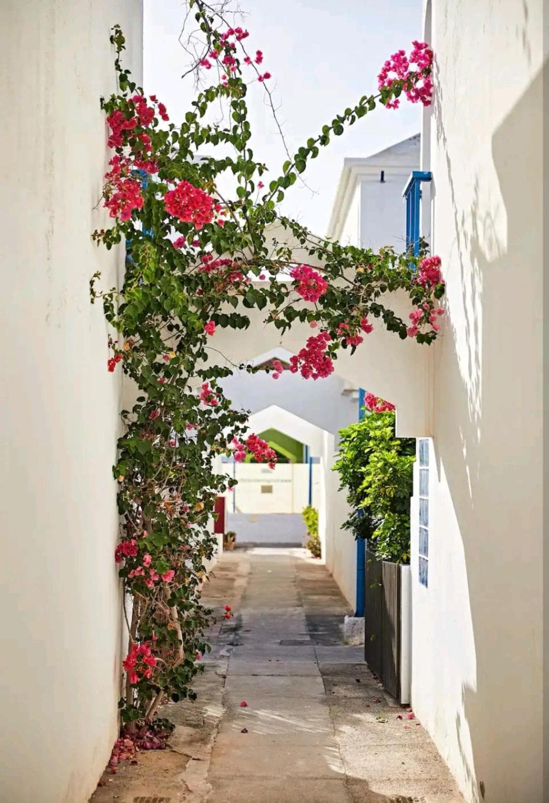 Maspalomas Casa La Loba — 5