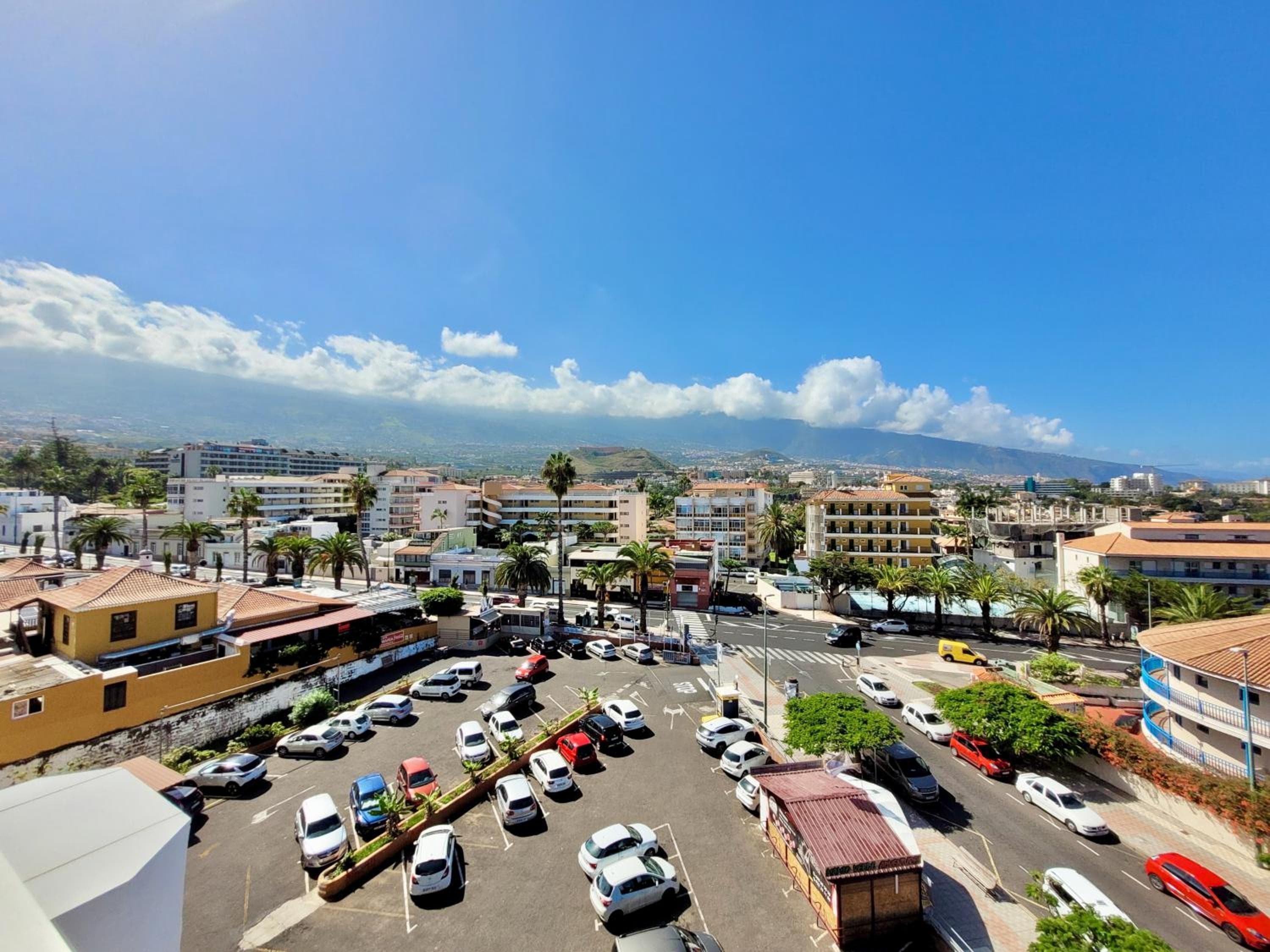 Agave Teide View by TOR — 4