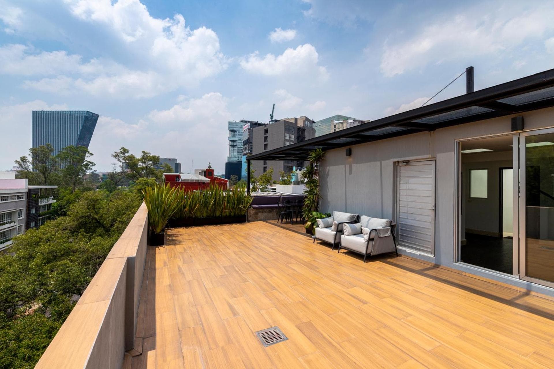 Nido Parque Lincoln --> Nest Parque Lincoln — 11