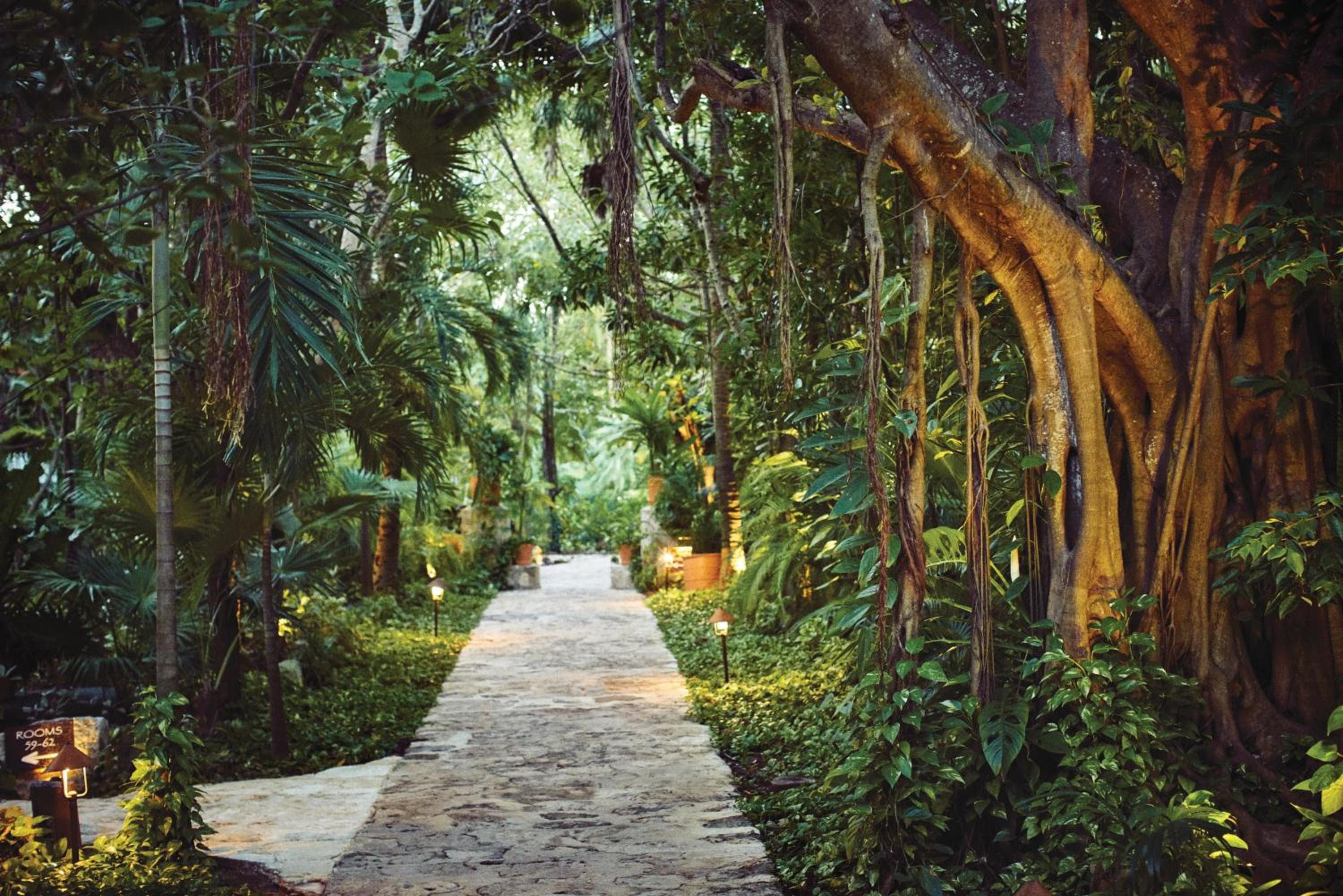 Maroma, A Belmond Hotel, Riviera Maya — 10