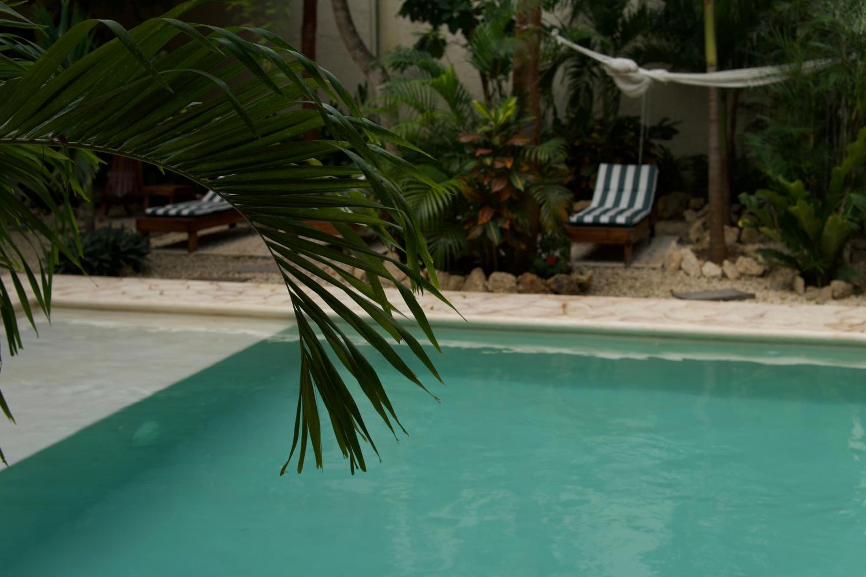 Aldea San Lam - Oasis Of Tulum — 25