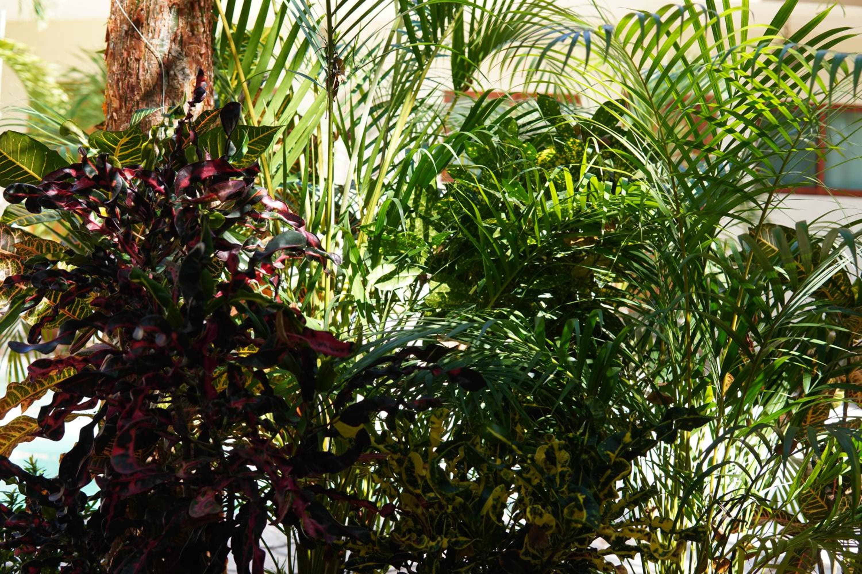 Aldea San Lam - Oasis Of Tulum — 8