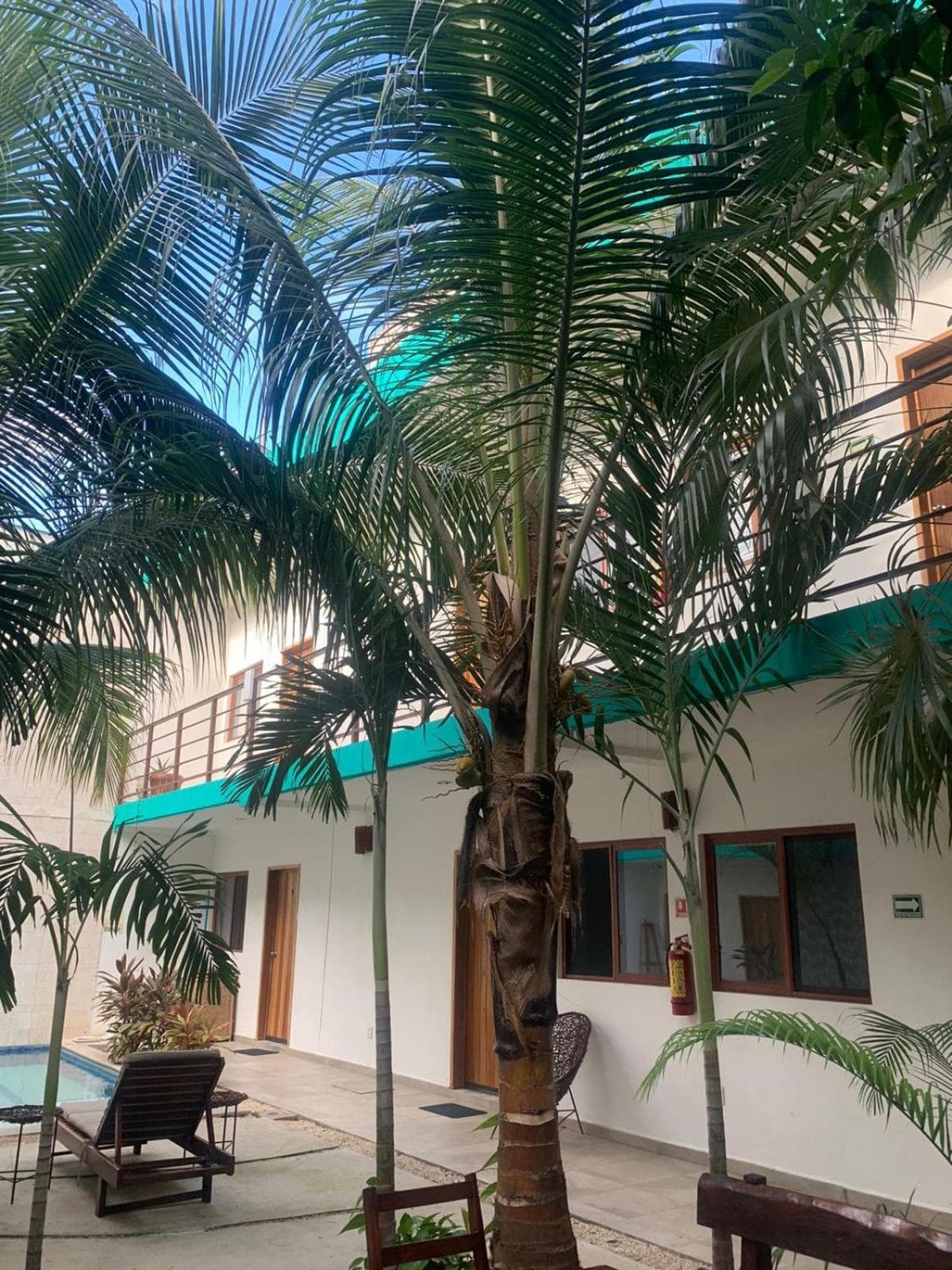 Los Arcos Hotel - TULUM — 1
