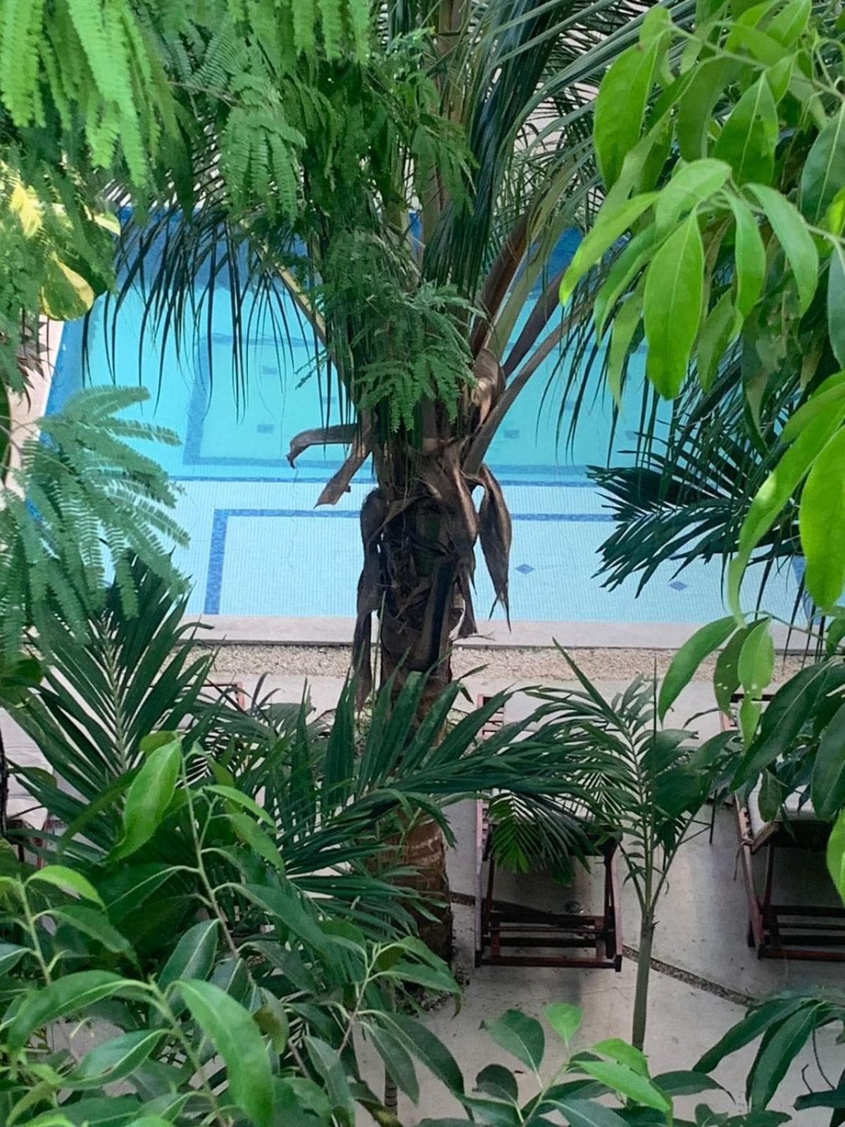 Los Arcos Hotel - TULUM — 11