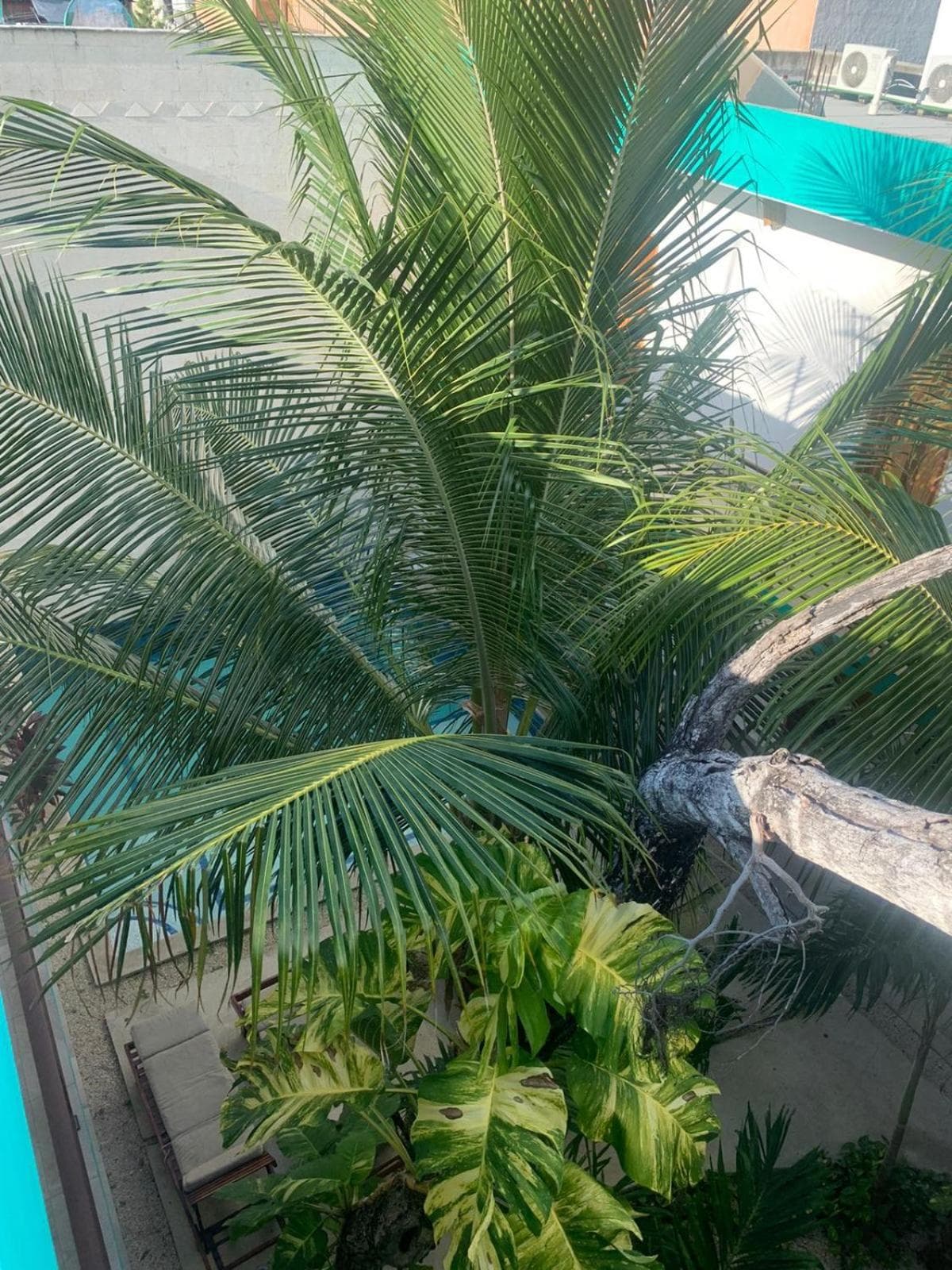 Los Arcos Hotel - TULUM — 16