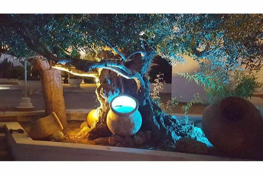 Splendida villa vicino al centro di Ibiza — 30