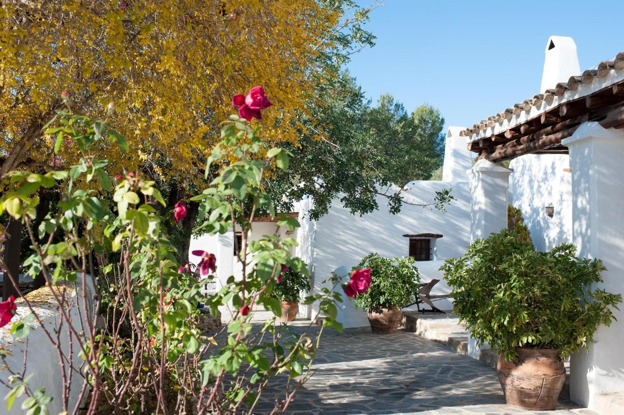 Elegant Ibizan Finca Modern and Classic Features Finca Aleece Santa Gertrudis — 16