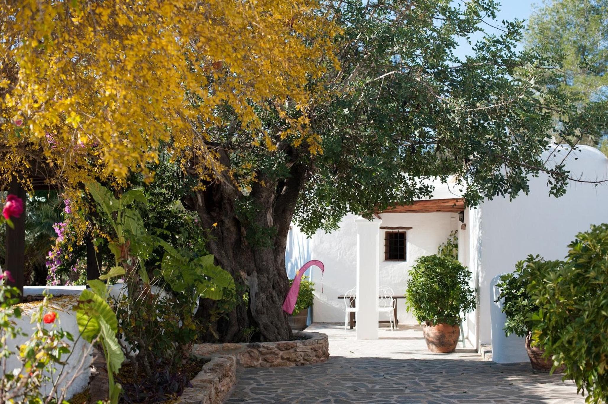 Elegante Ibizan Finca Moderne und Klassische Merkmale Finca Aleece Santa Gertrudis — 22