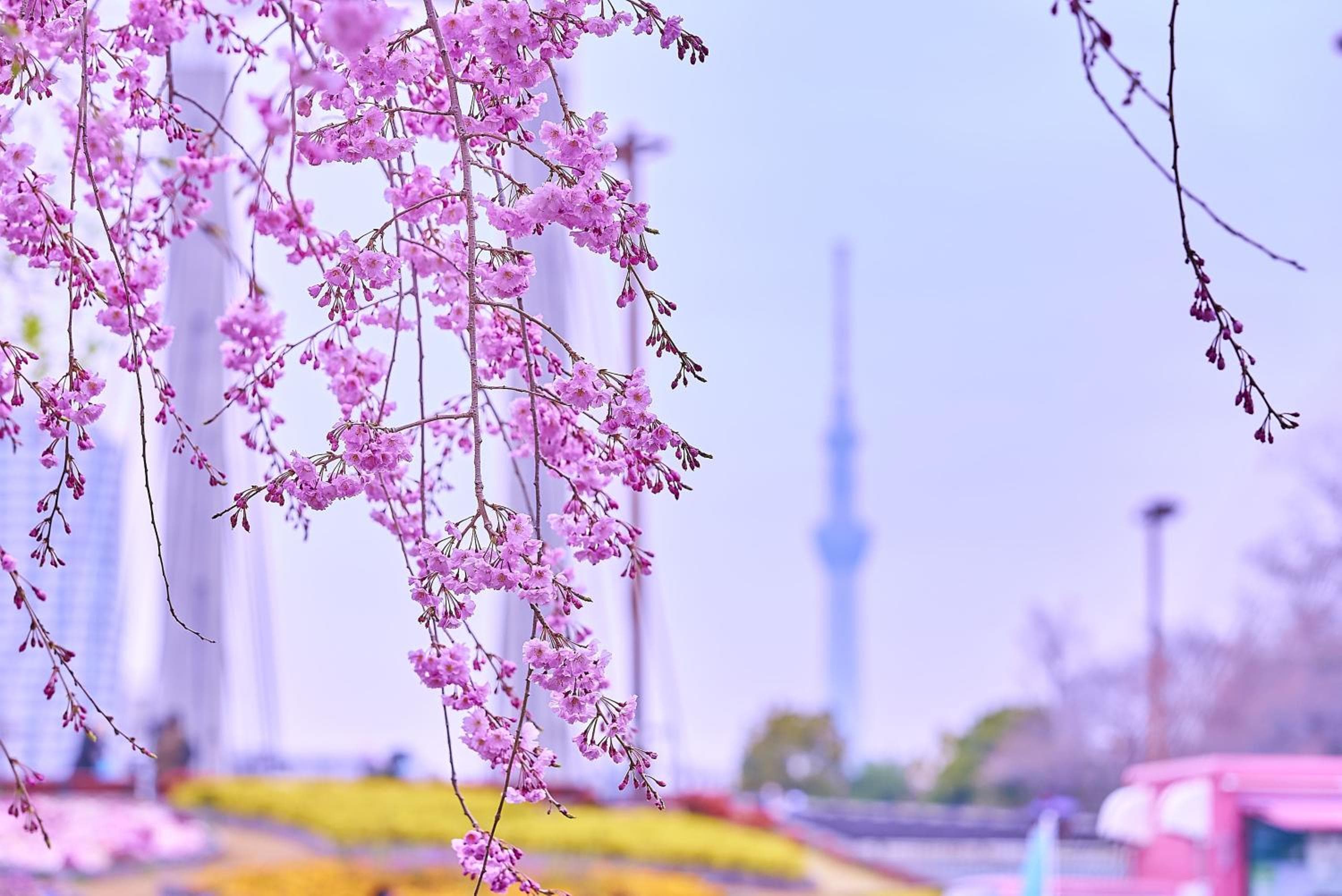 Tokyo Bay Shiomi Prince Hotel hotel, Koto-ku Shiomi 2-8-16, Tokyo, Japan — photo 42