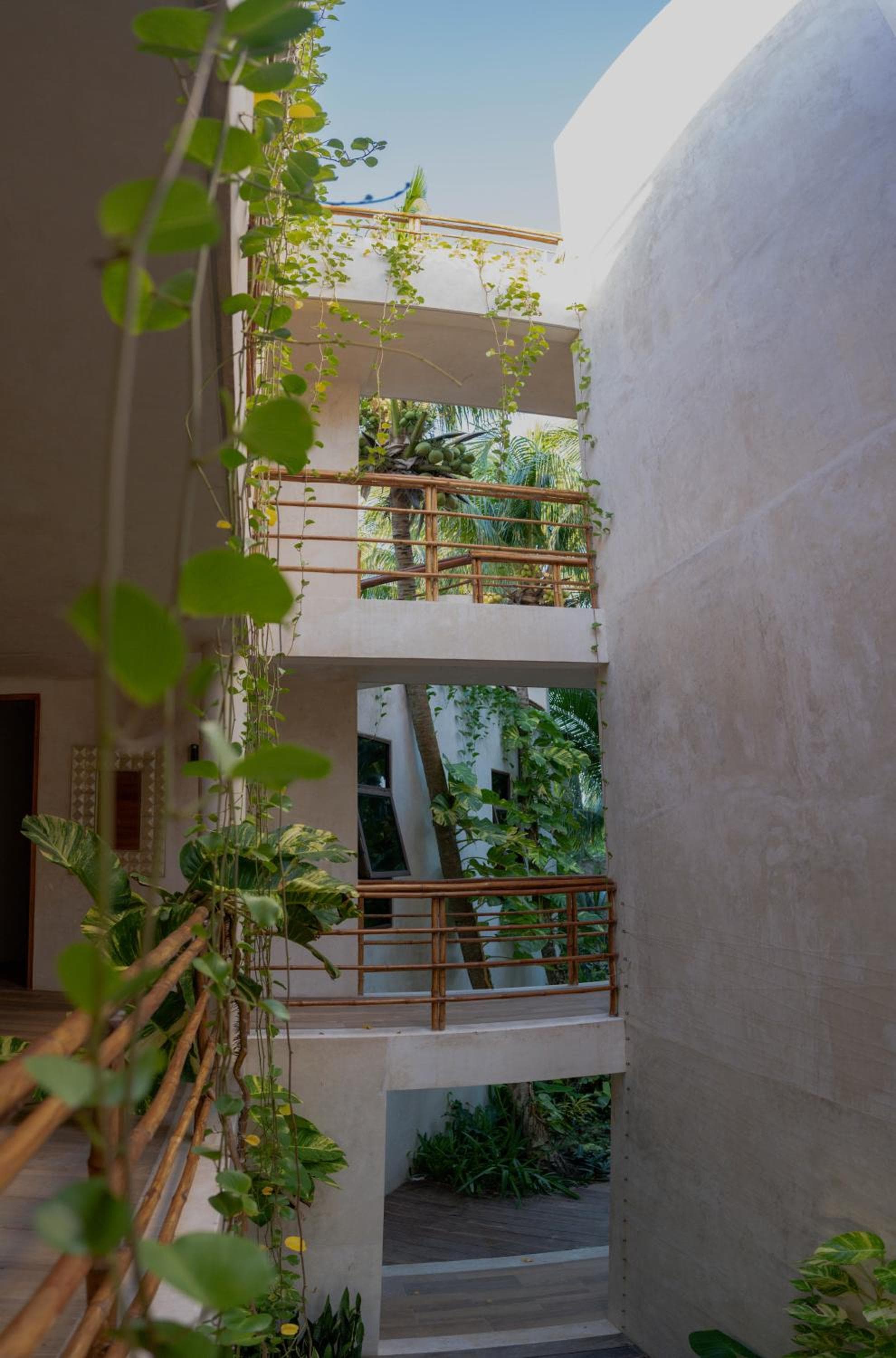 Le barriere coralline — 8