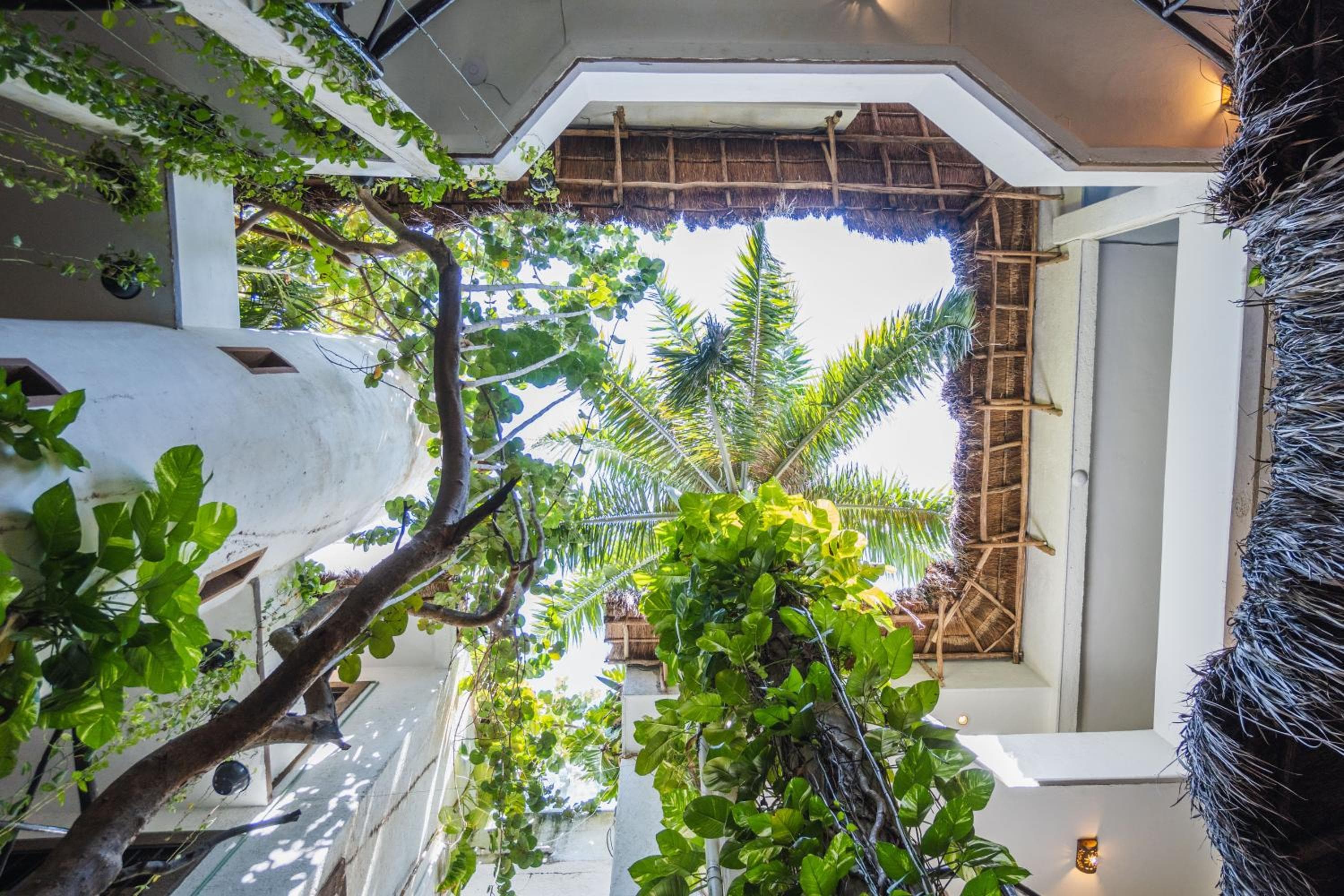 Posada Mariposa Boutique Hotel - 5th Avenue — 1