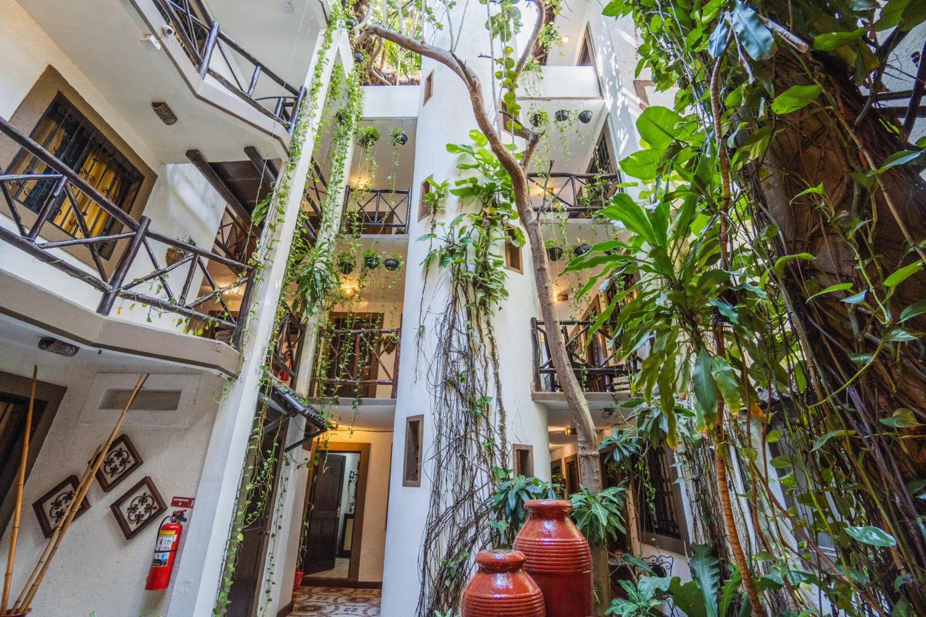 Posada Mariposa Boutique Hotel - 5th Avenue — 12