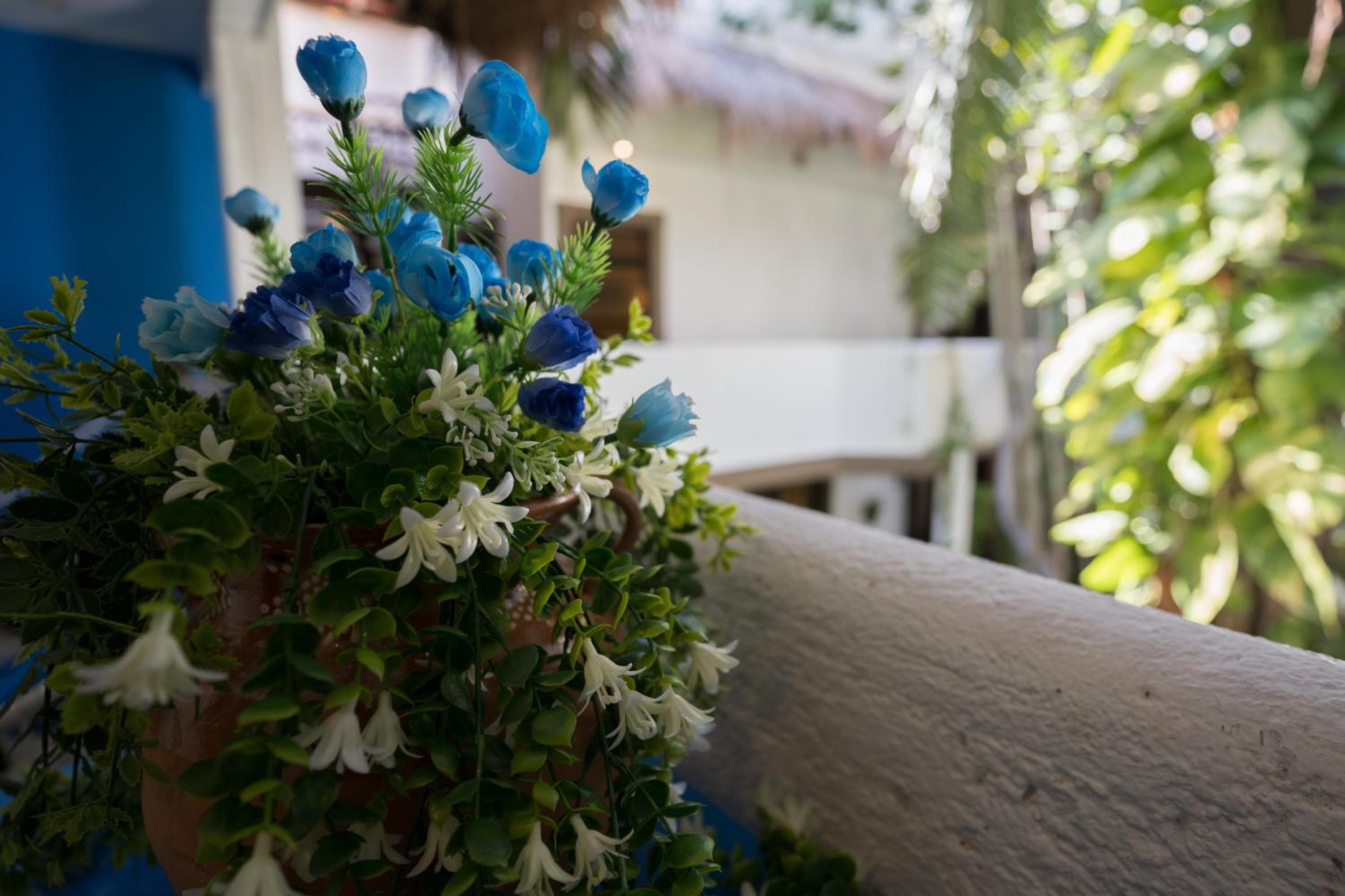 Posada Mariposa Boutique Hotel - 5th Avenue — 17