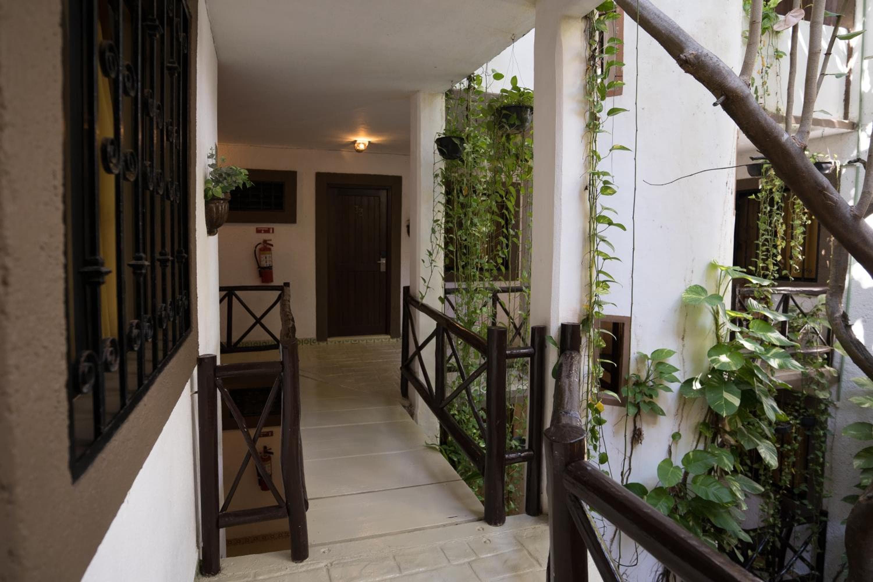 Posada Mariposa Boutique Hotel - 5th Avenue — 8