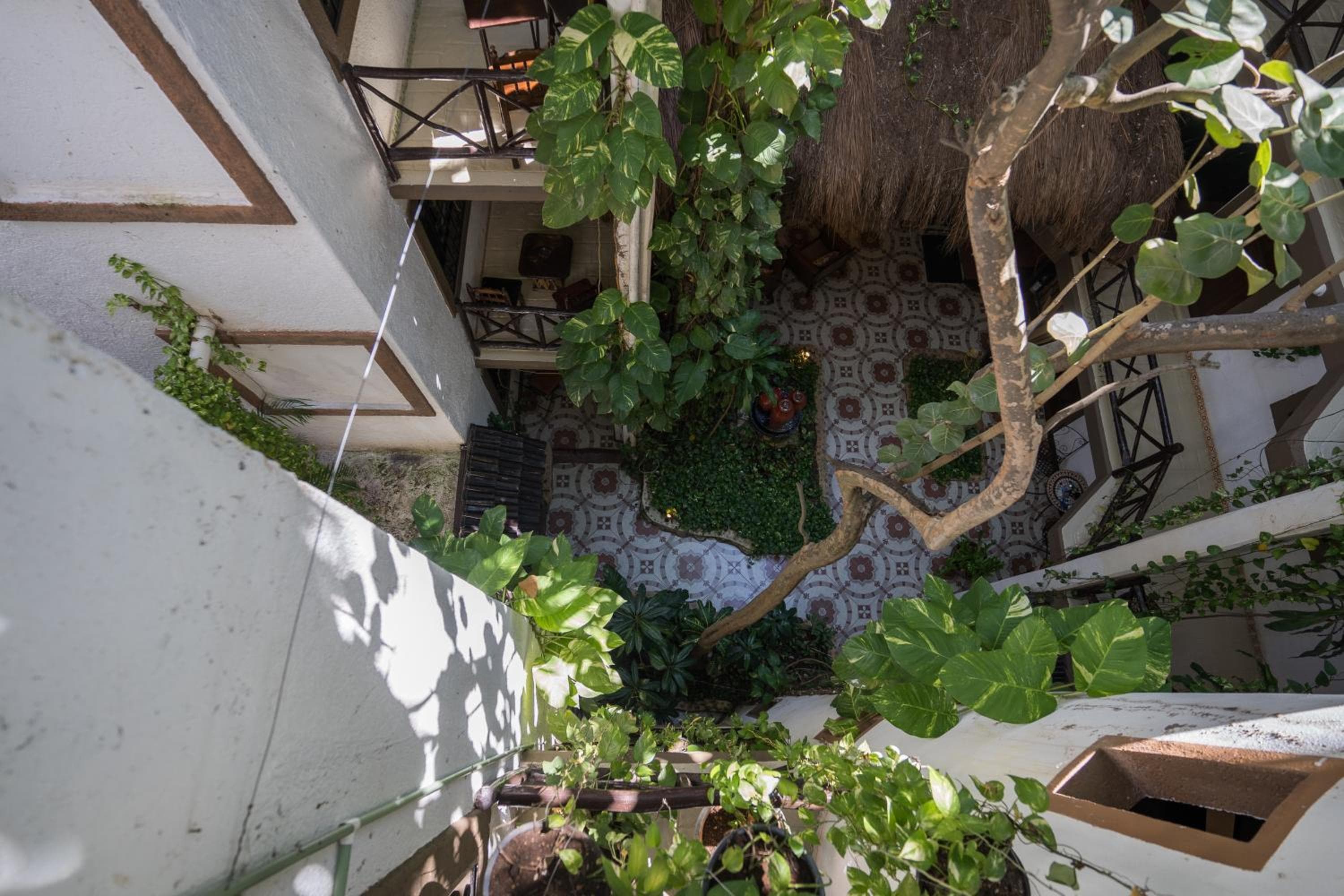 Posada Mariposa Boutique Hotel - 5th Avenue — 7