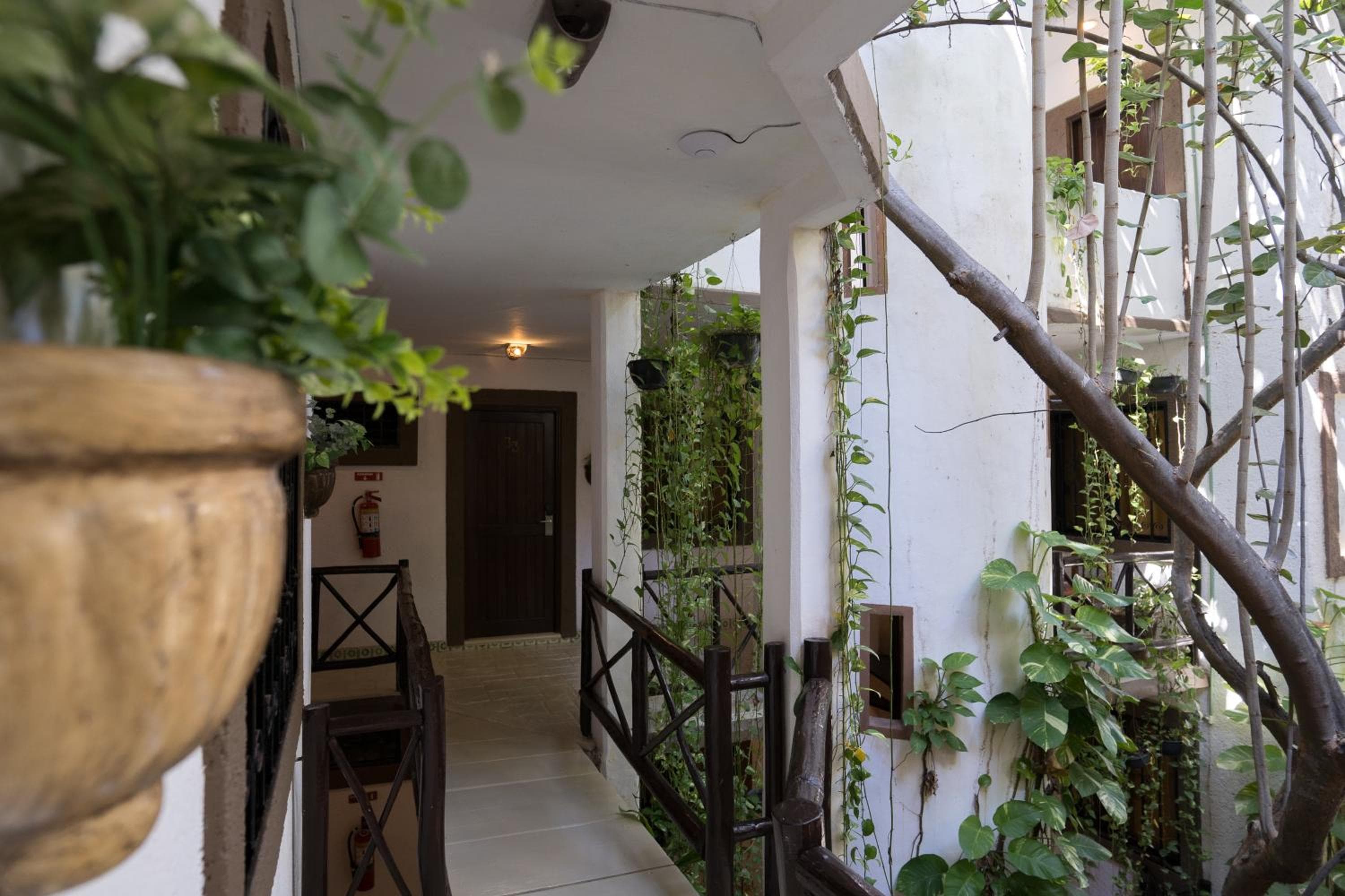 Posada Mariposa Boutique Hotel - 5th Avenue — 6