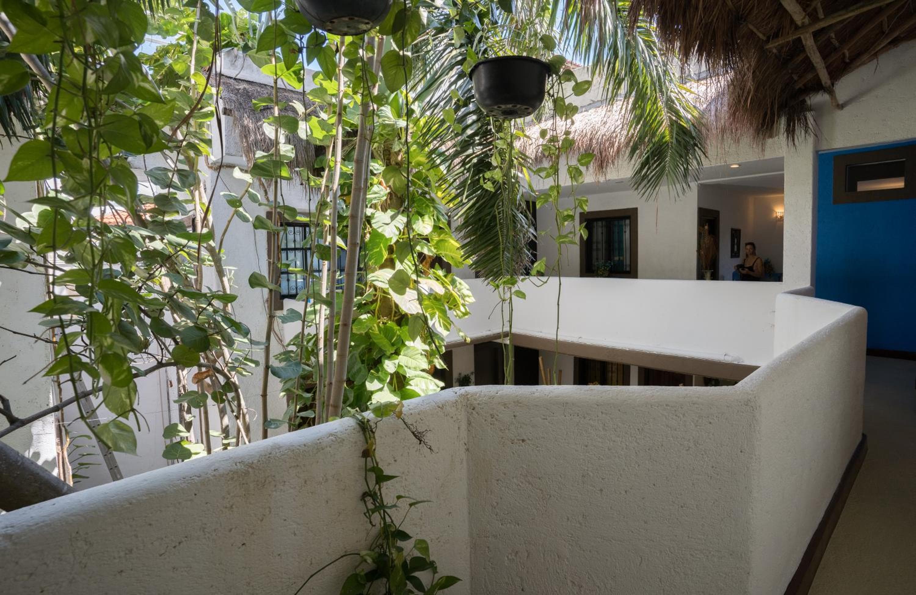 Posada Mariposa Boutique Hotel - 5th Avenue — 16
