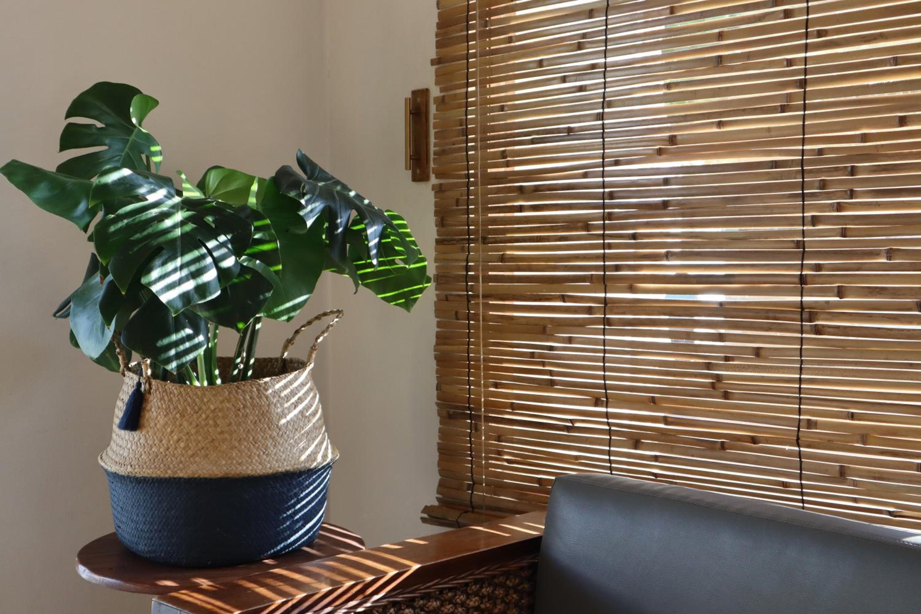 3B Wellness Hotel & Hostel Adults Only — 6