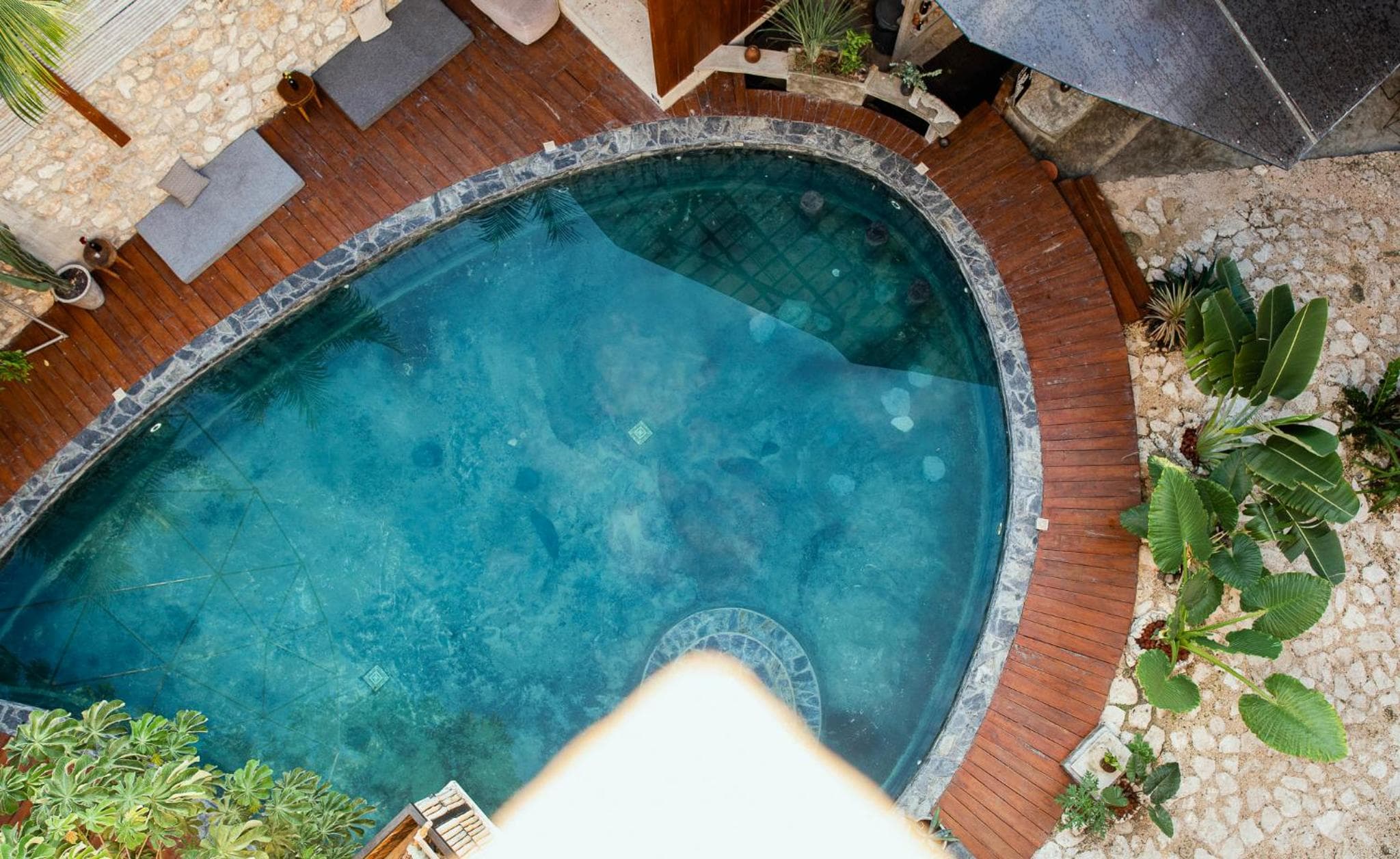 Botánica Tulum — 3