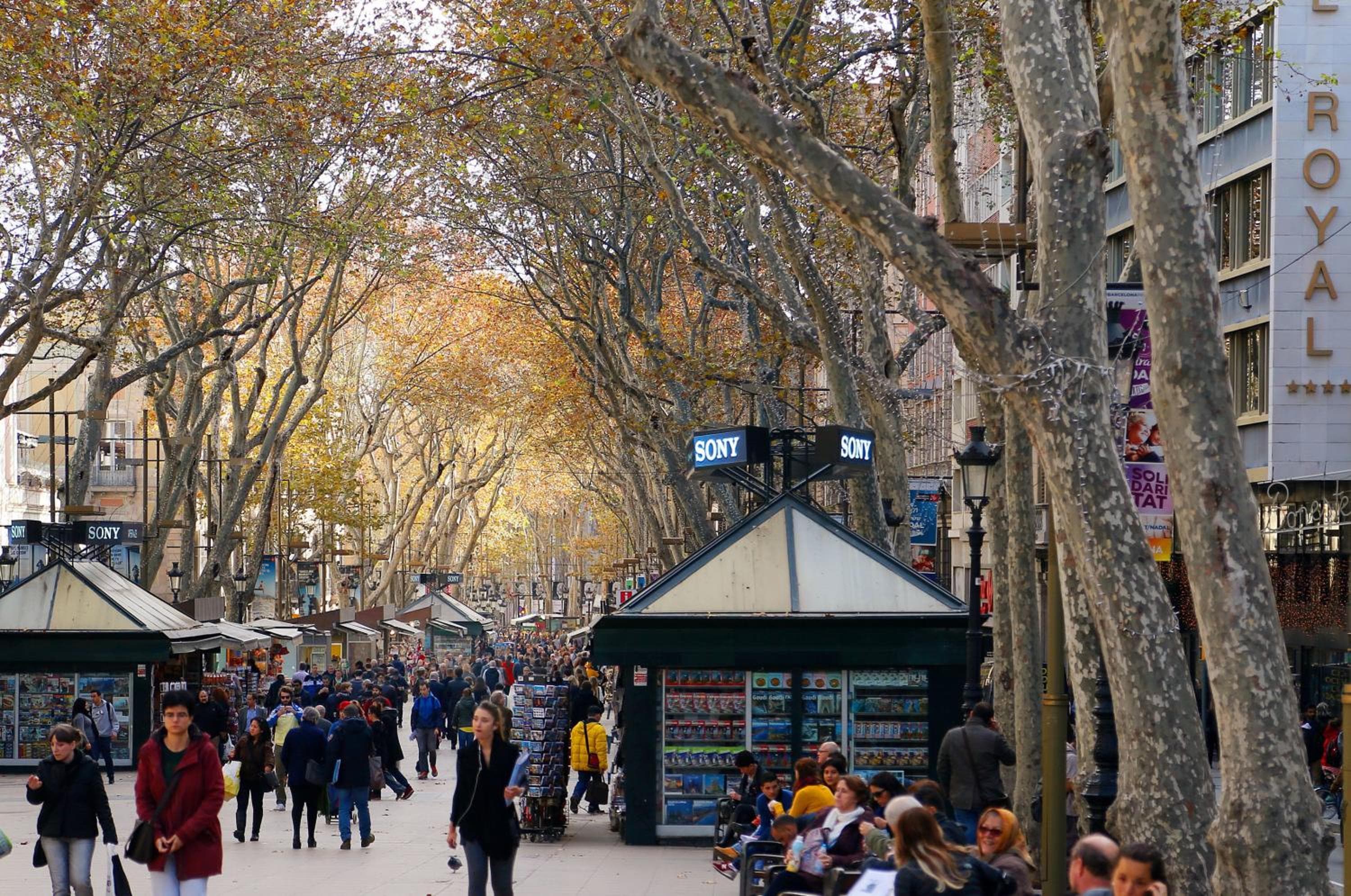 Hotel Royal Ramblas — 16