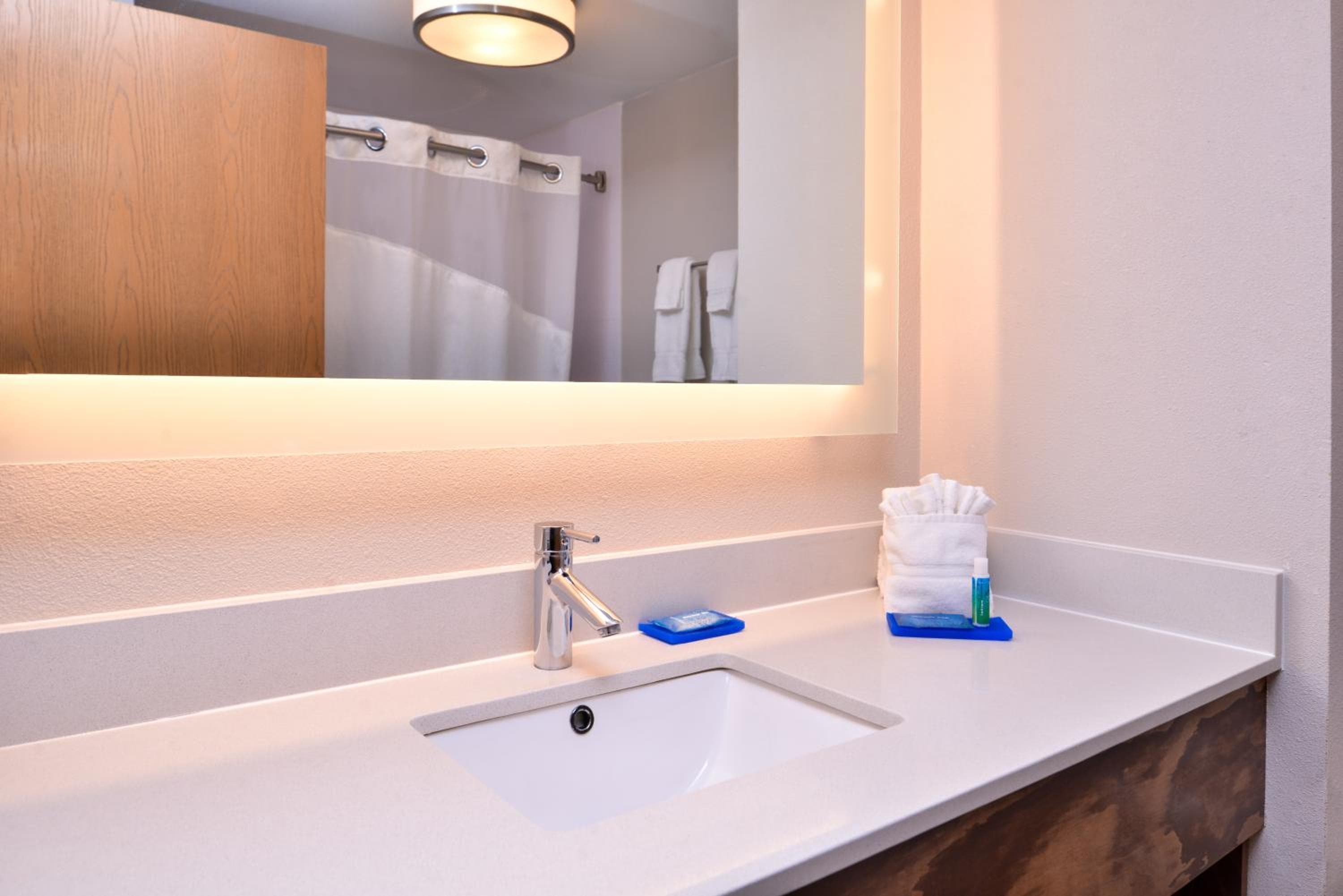 Holiday Inn Express Hotel & Suites Tampa-Anderson Road-Veterans Exp, ein IHG Hotel — 3