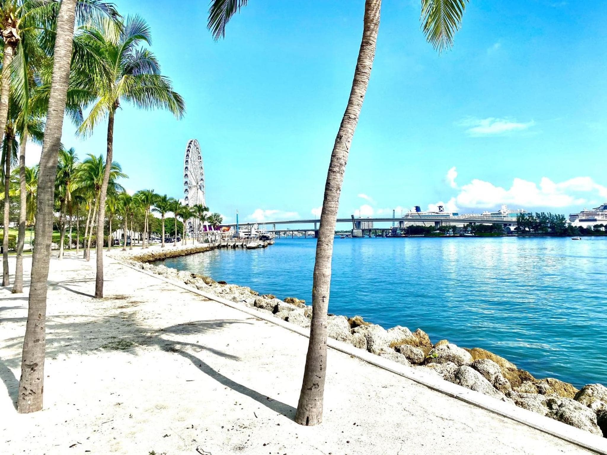 Atwell Suites Miami Brickell by IHG — 14