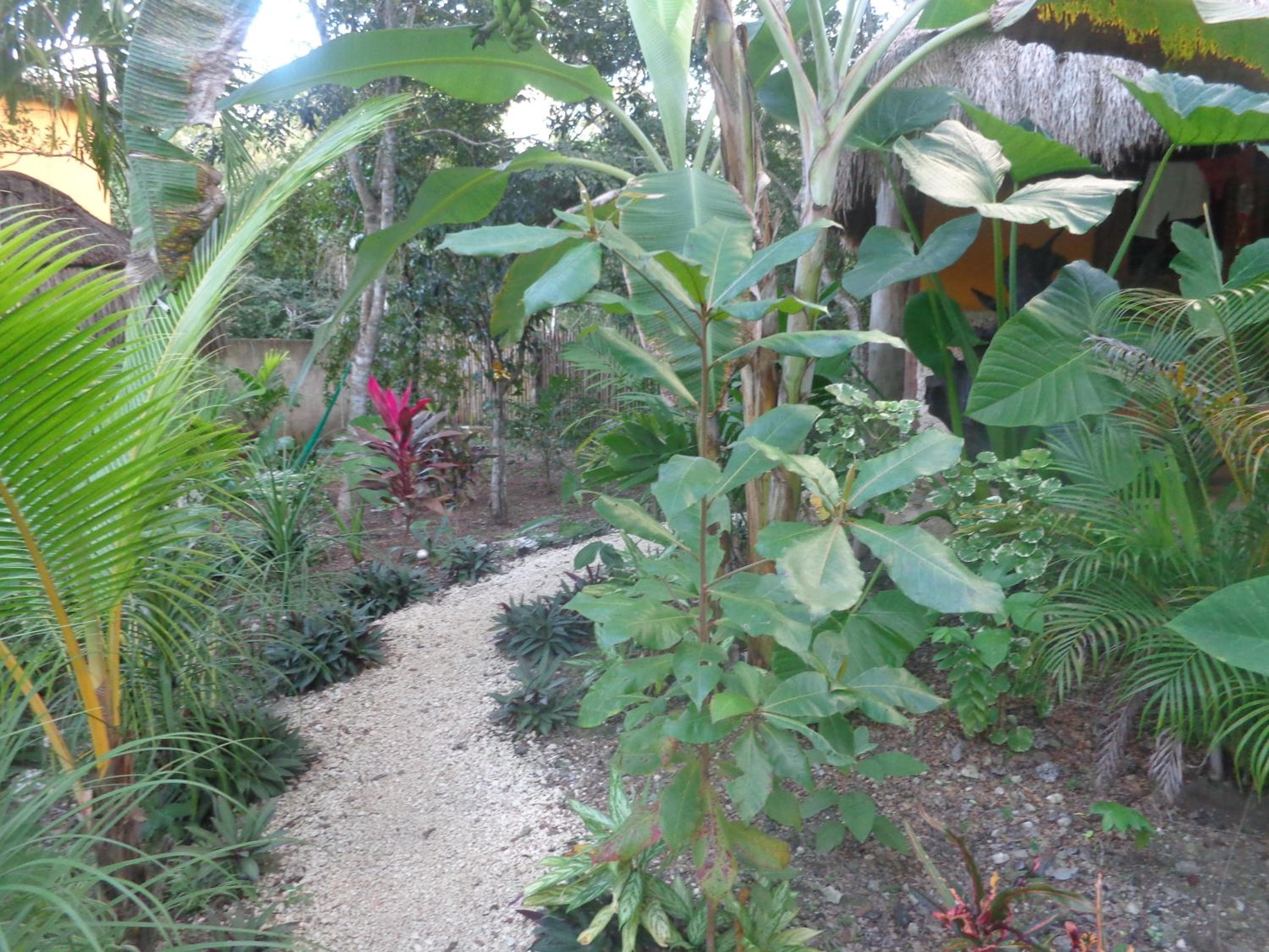 Casa Mango — 13