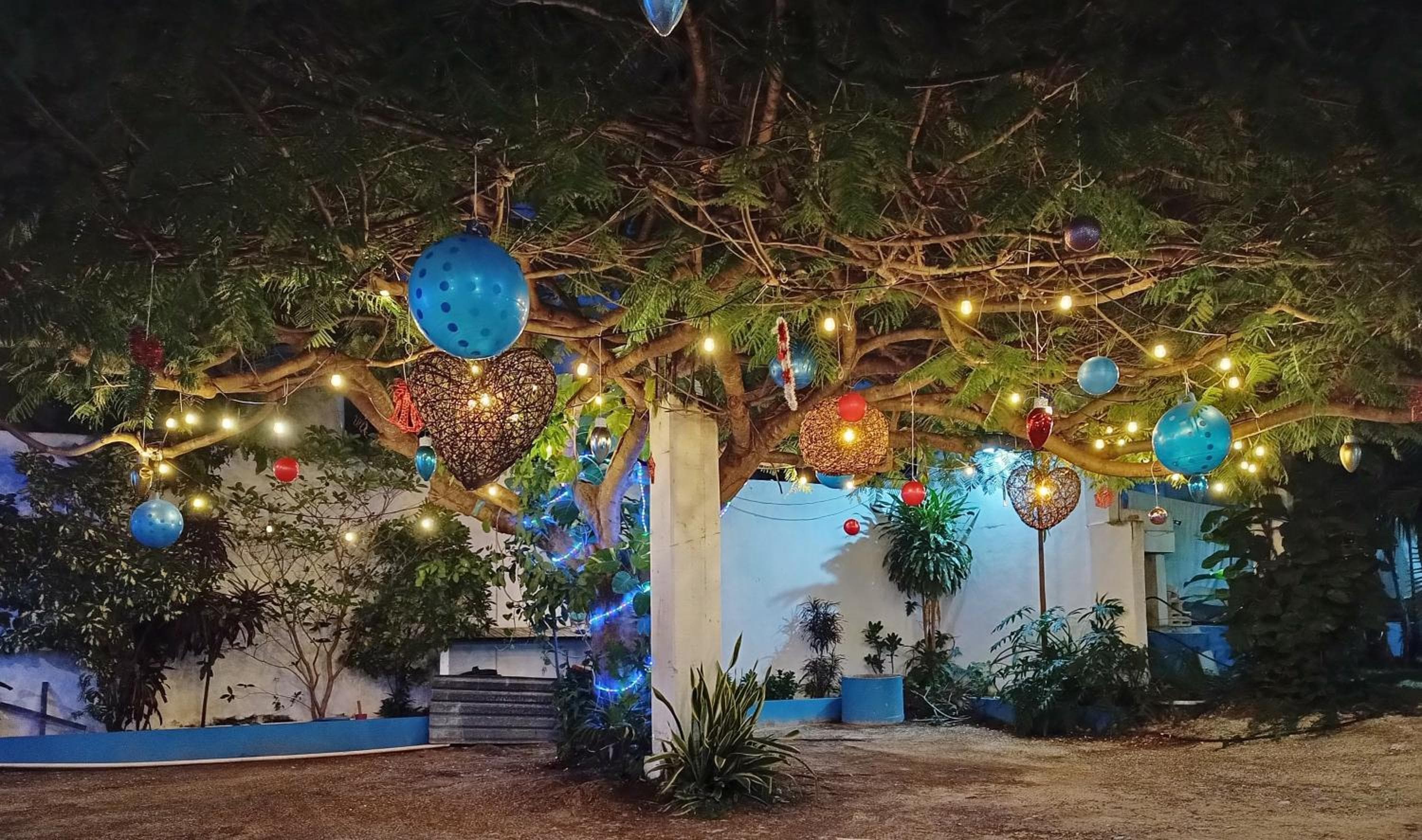 Hotel Blue Coconut Cancun — 3