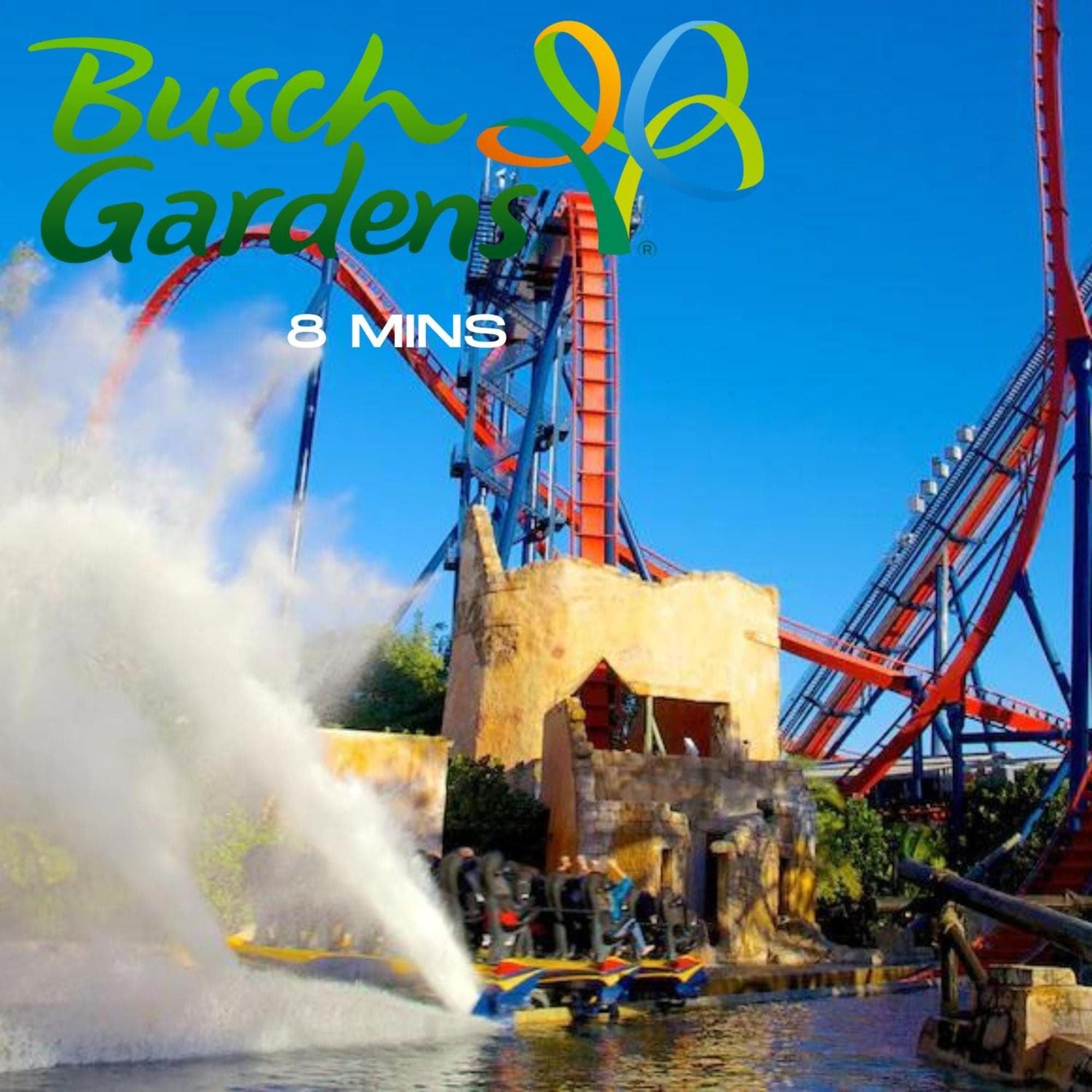 Plush sheets, Games!, Huge backyard, Massage Chair — 7