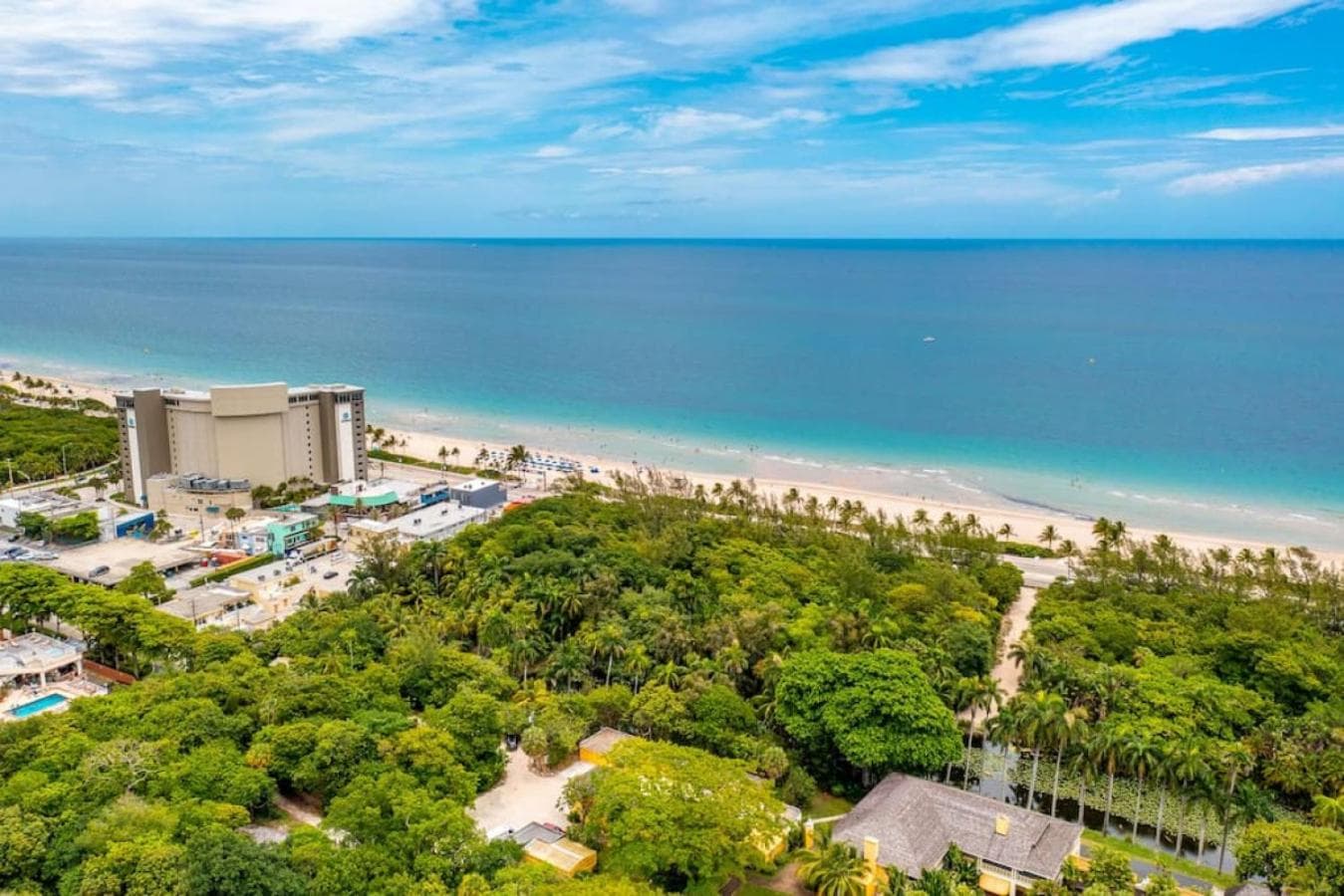 The Purple Pelican Beachfront with Ocean Balcony Unit 5 — 3