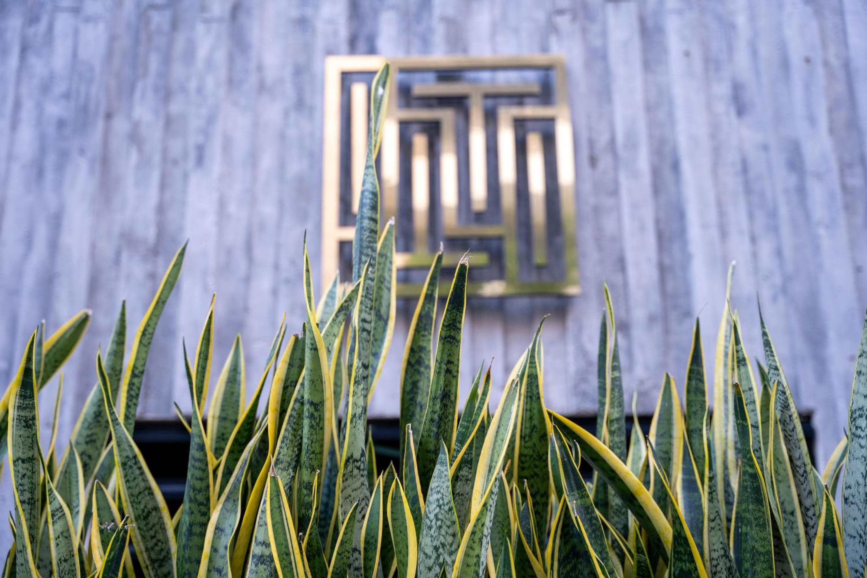 Stadtluxusapartment I Rooftop Cocobeach I Von Yeah — 22