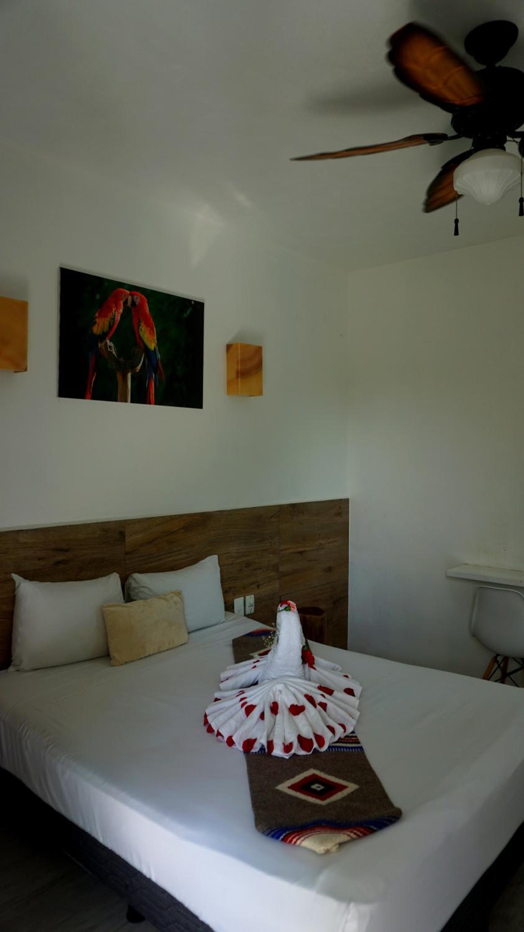 Selva y Mar Apart Hotel — 3